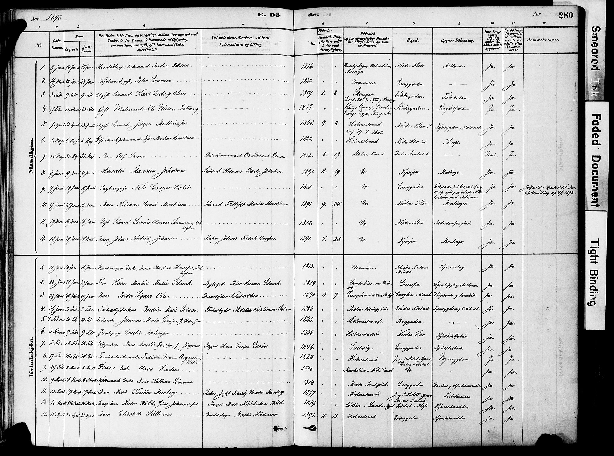 Holmestrand kirkebøker, AV/SAKO-A-346/F/Fa/L0004: Ministerialbok nr. 4, 1880-1901, s. 280