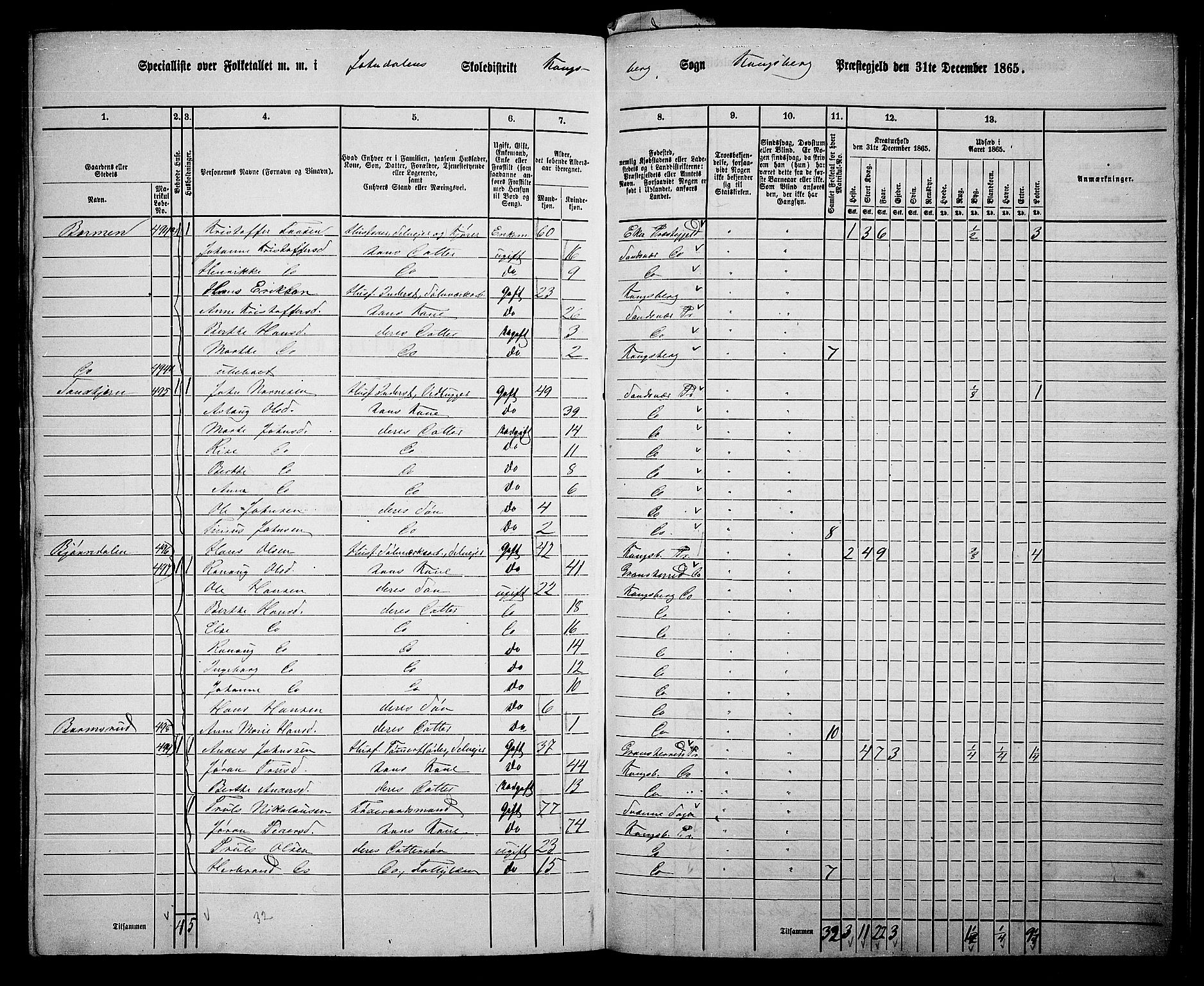 RA, Folketelling 1865 for 0692L Kongsberg prestegjeld, Kongsberg landsokn, 1865, s. 5