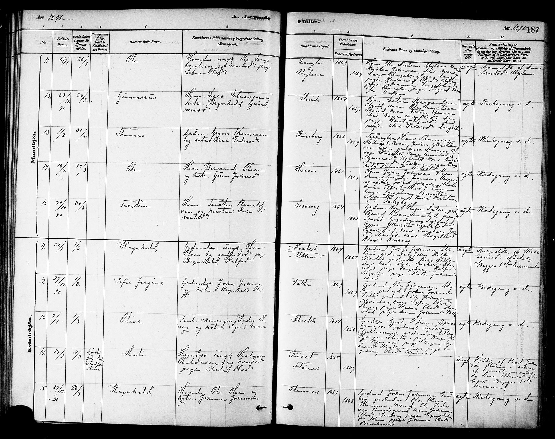 Ministerialprotokoller, klokkerbøker og fødselsregistre - Sør-Trøndelag, SAT/A-1456/695/L1148: Ministerialbok nr. 695A08, 1878-1891, s. 187