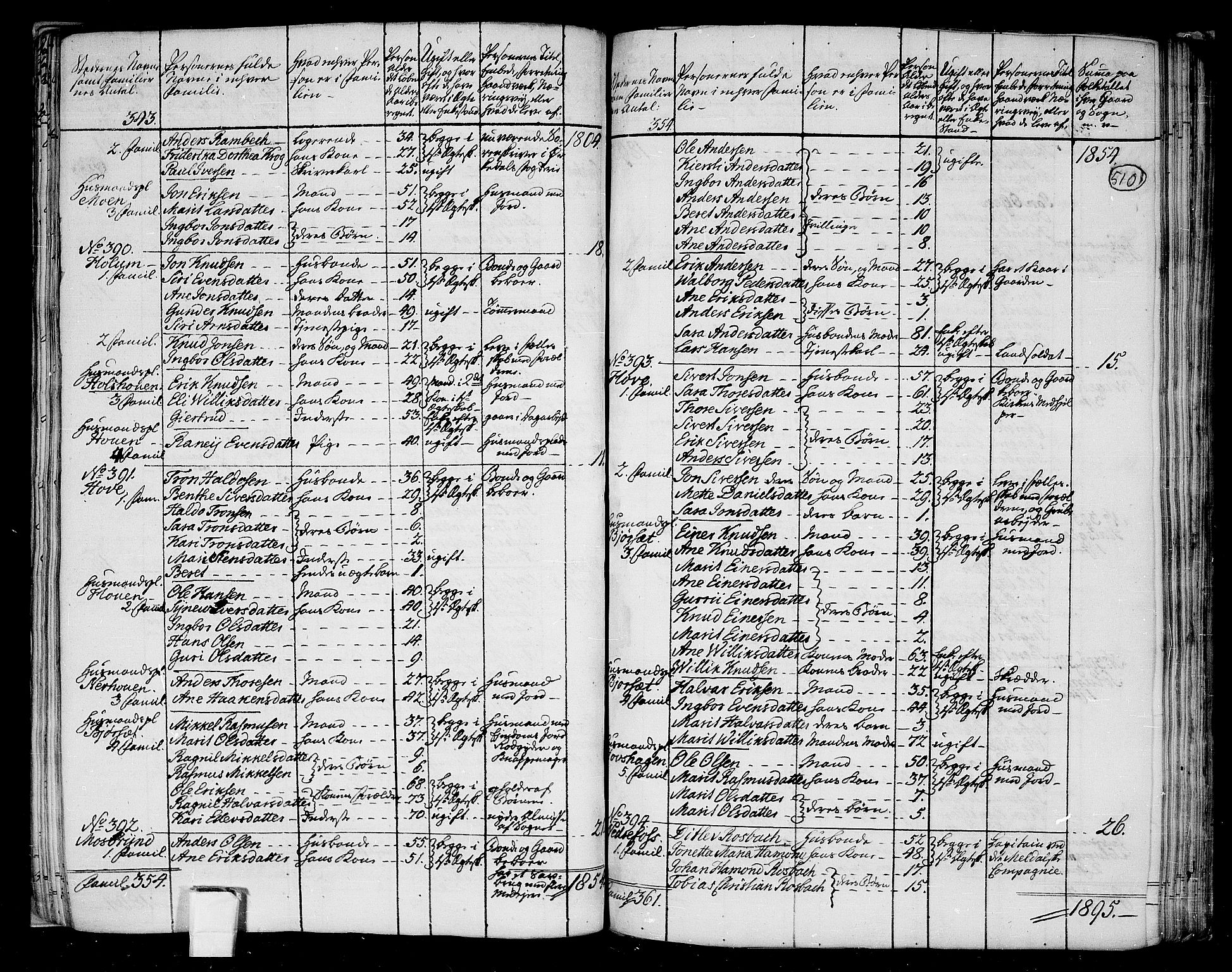 RA, Folketelling 1801 for 1636P Meldal prestegjeld, 1801, s. 509b-510a