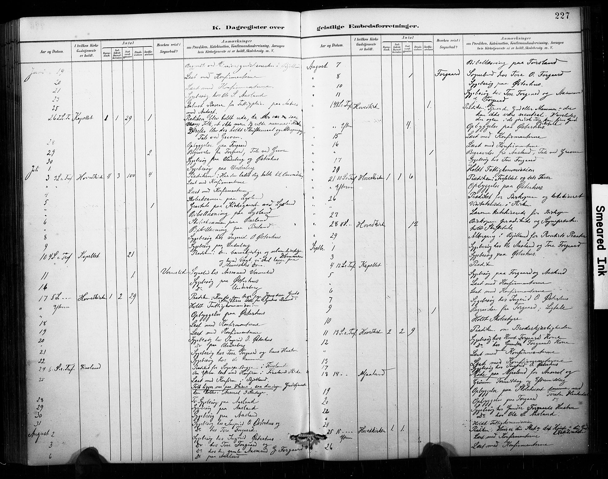 Åseral sokneprestkontor, AV/SAK-1111-0051/F/Fa/L0003: Ministerialbok nr. A 3, 1884-1901, s. 227