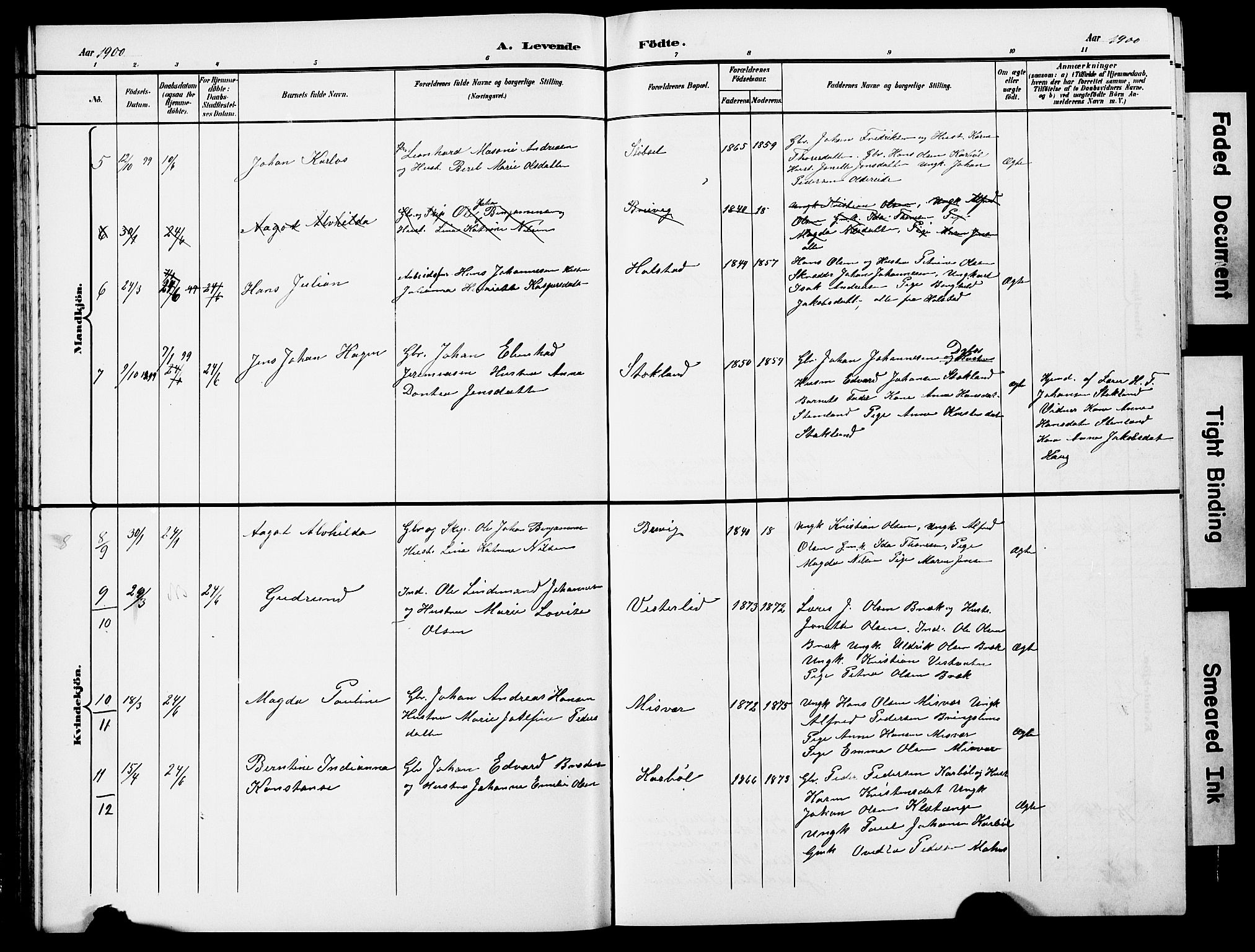 Ministerialprotokoller, klokkerbøker og fødselsregistre - Nordland, SAT/A-1459/852/L0755: Klokkerbok nr. 852C06, 1895-1902