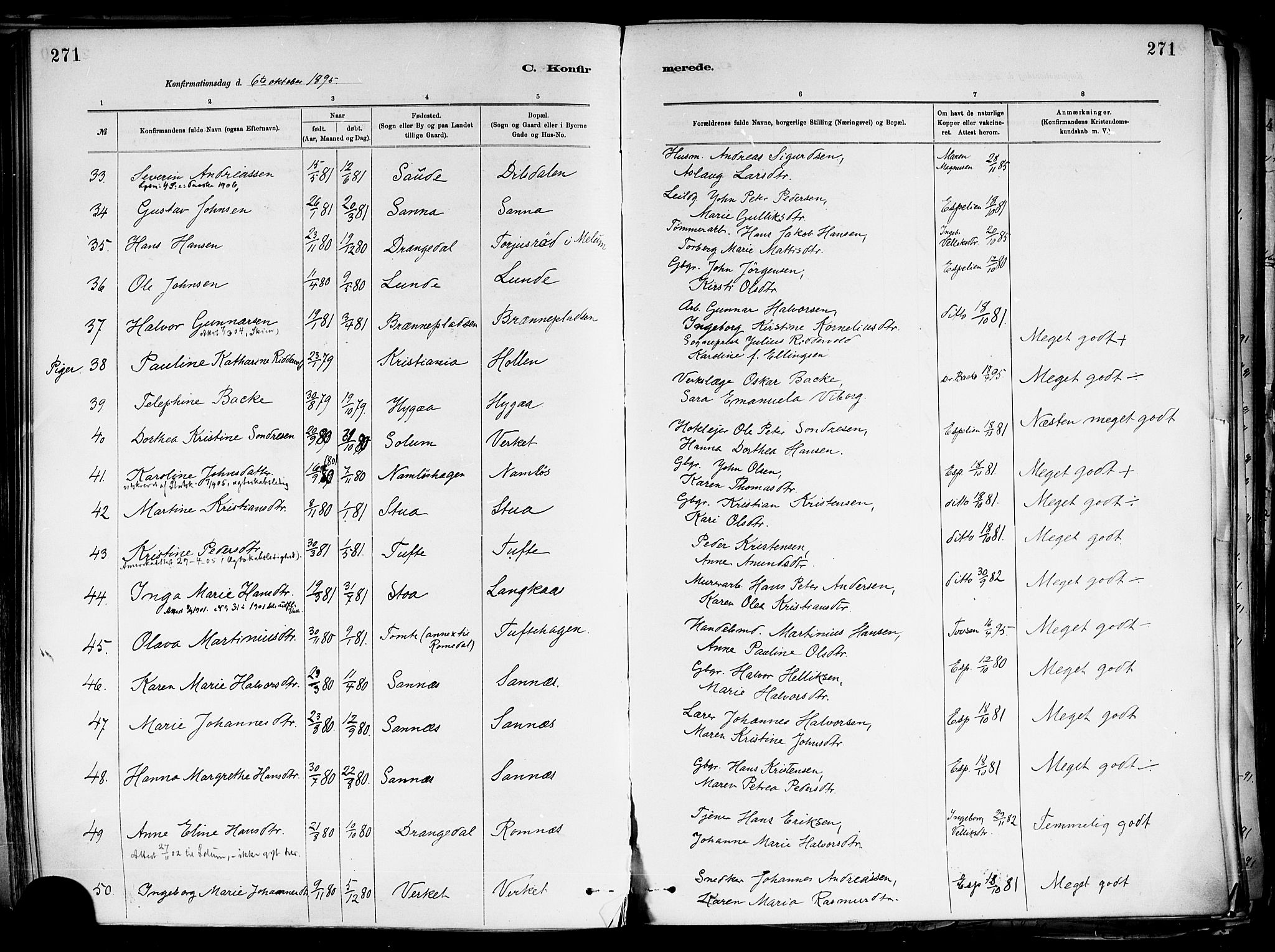Holla kirkebøker, AV/SAKO-A-272/F/Fa/L0008: Ministerialbok nr. 8, 1882-1897, s. 271