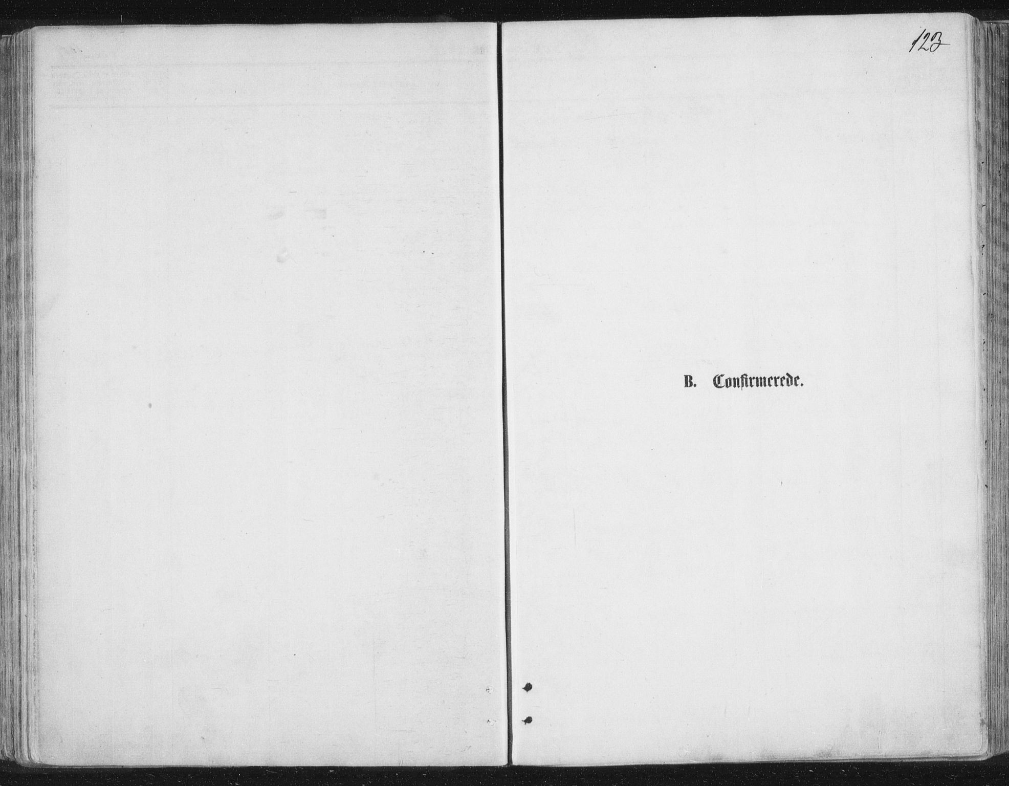 Lyngen sokneprestembete, AV/SATØ-S-1289/H/He/Hea/L0006kirke: Ministerialbok nr. 6, 1870-1878, s. 123