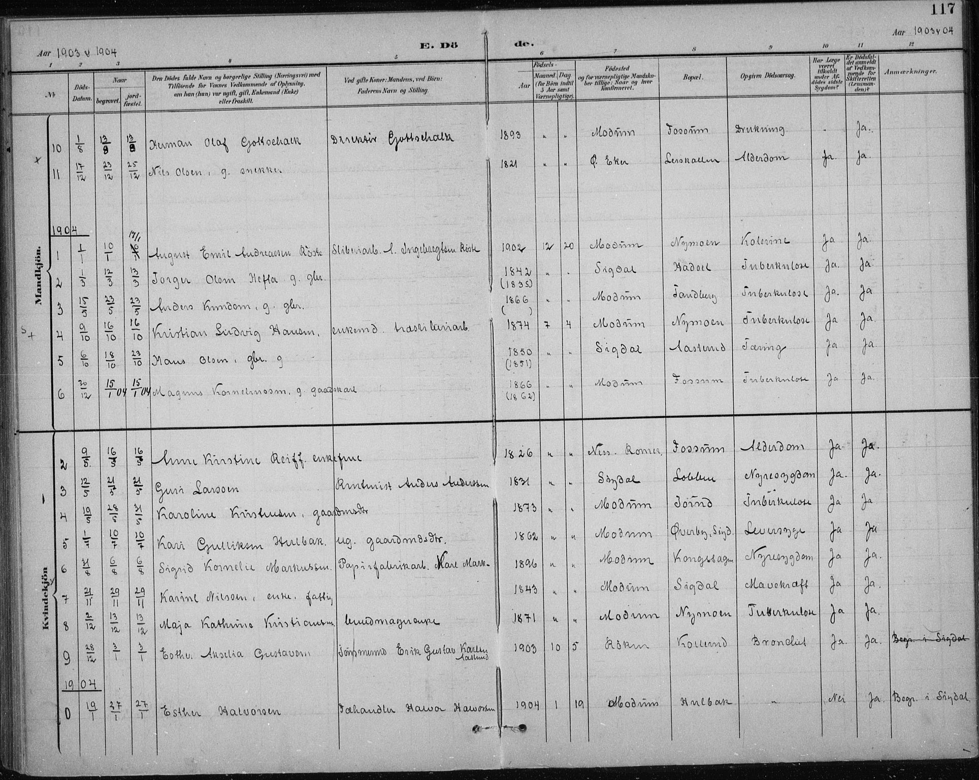 Modum kirkebøker, AV/SAKO-A-234/F/Fa/L0017: Ministerialbok nr. 17, 1900-1915, s. 117