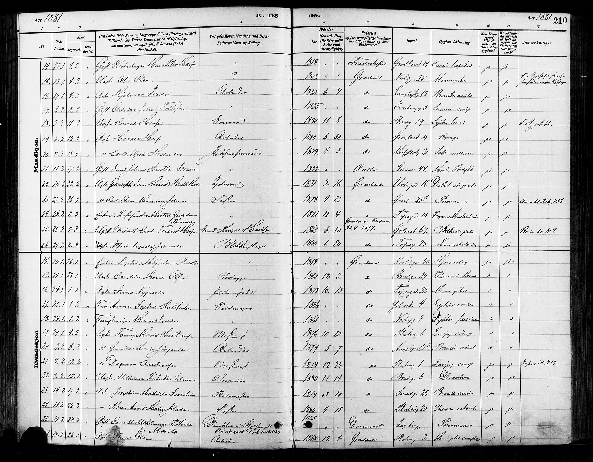 Grønland prestekontor Kirkebøker, AV/SAO-A-10848/F/Fa/L0008: Ministerialbok nr. 8, 1881-1893, s. 210