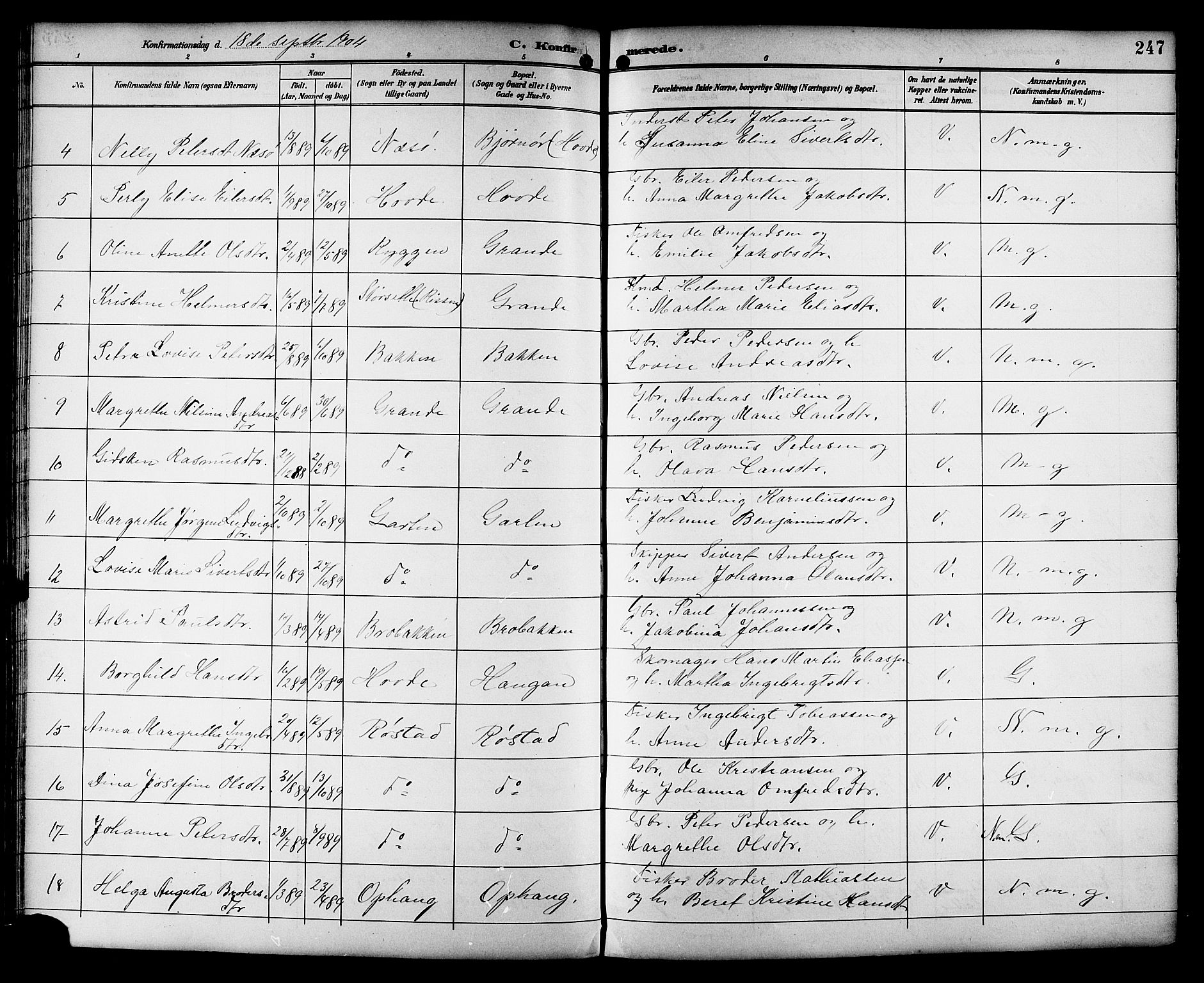 Ministerialprotokoller, klokkerbøker og fødselsregistre - Sør-Trøndelag, AV/SAT-A-1456/659/L0746: Klokkerbok nr. 659C03, 1893-1912, s. 247