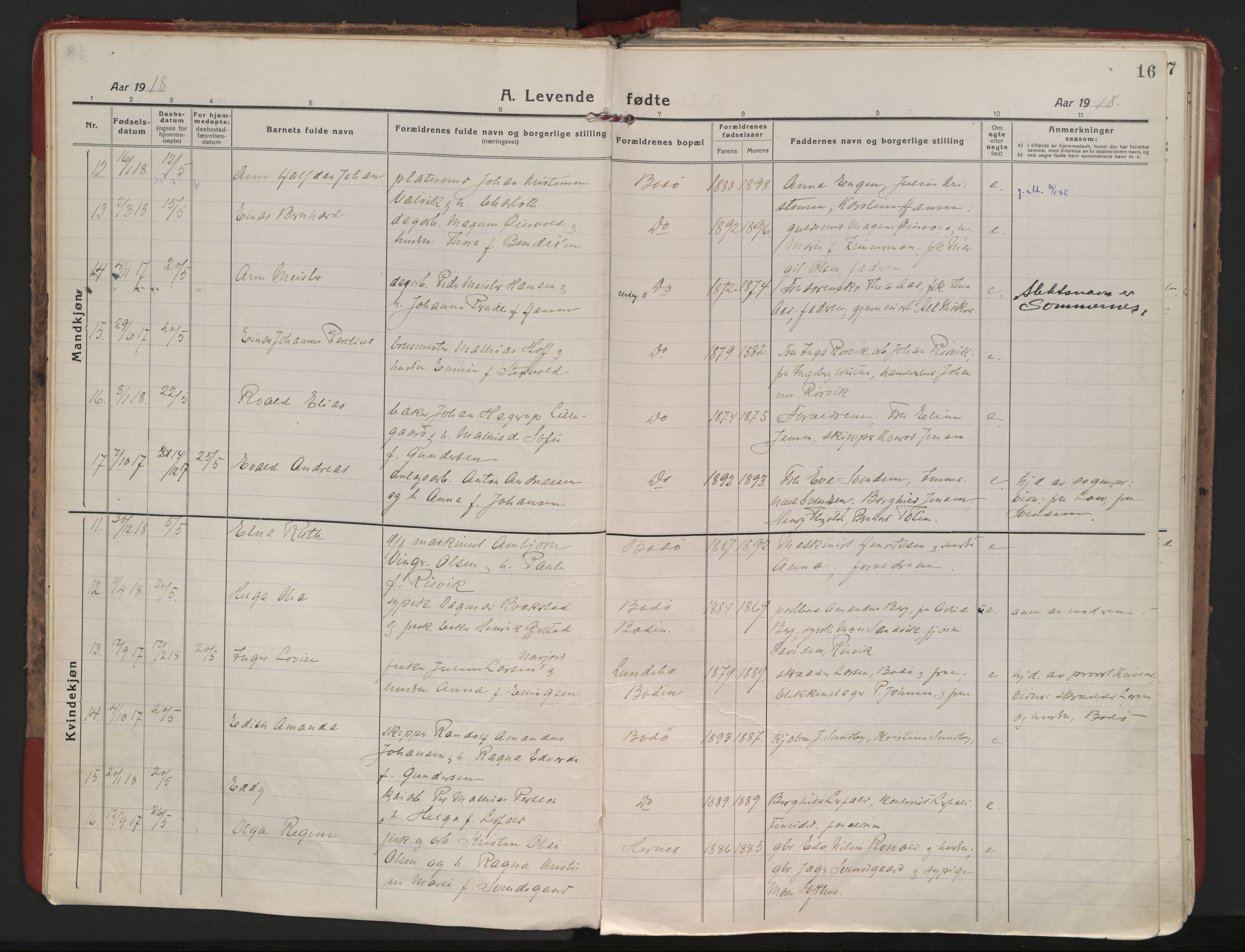 Ministerialprotokoller, klokkerbøker og fødselsregistre - Nordland, AV/SAT-A-1459/801/L0017: Ministerialbok nr. 801A17, 1917-1930, s. 16