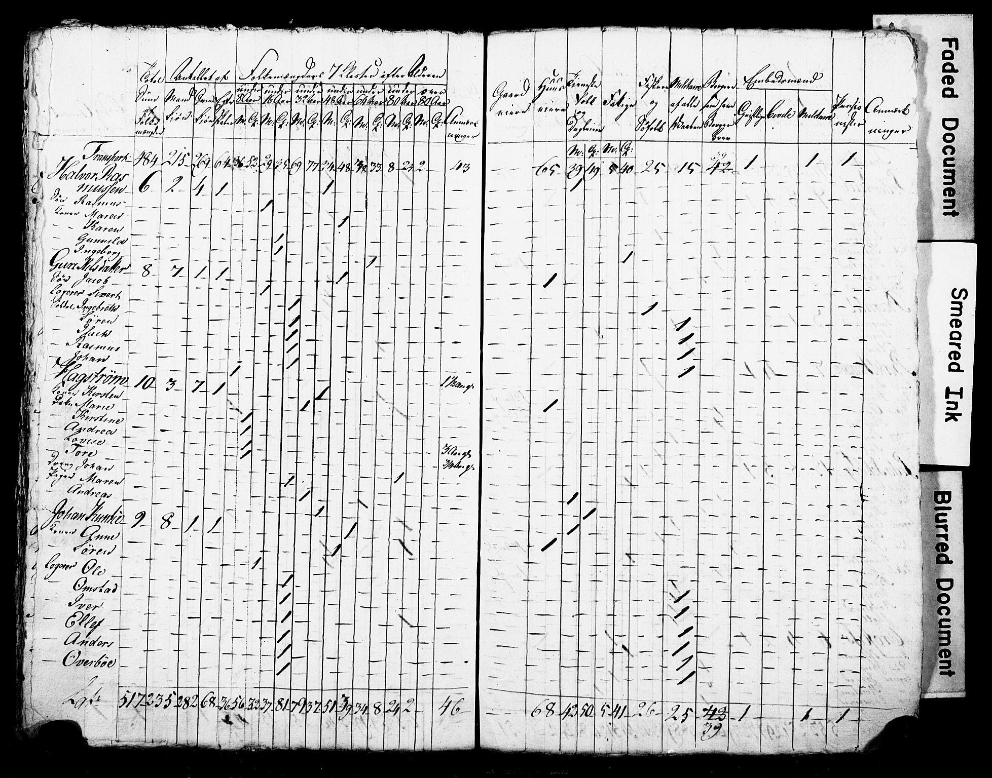 LOK, Folketelling 1815 for 0806P Skien prestegjeld, 1815, s. 53