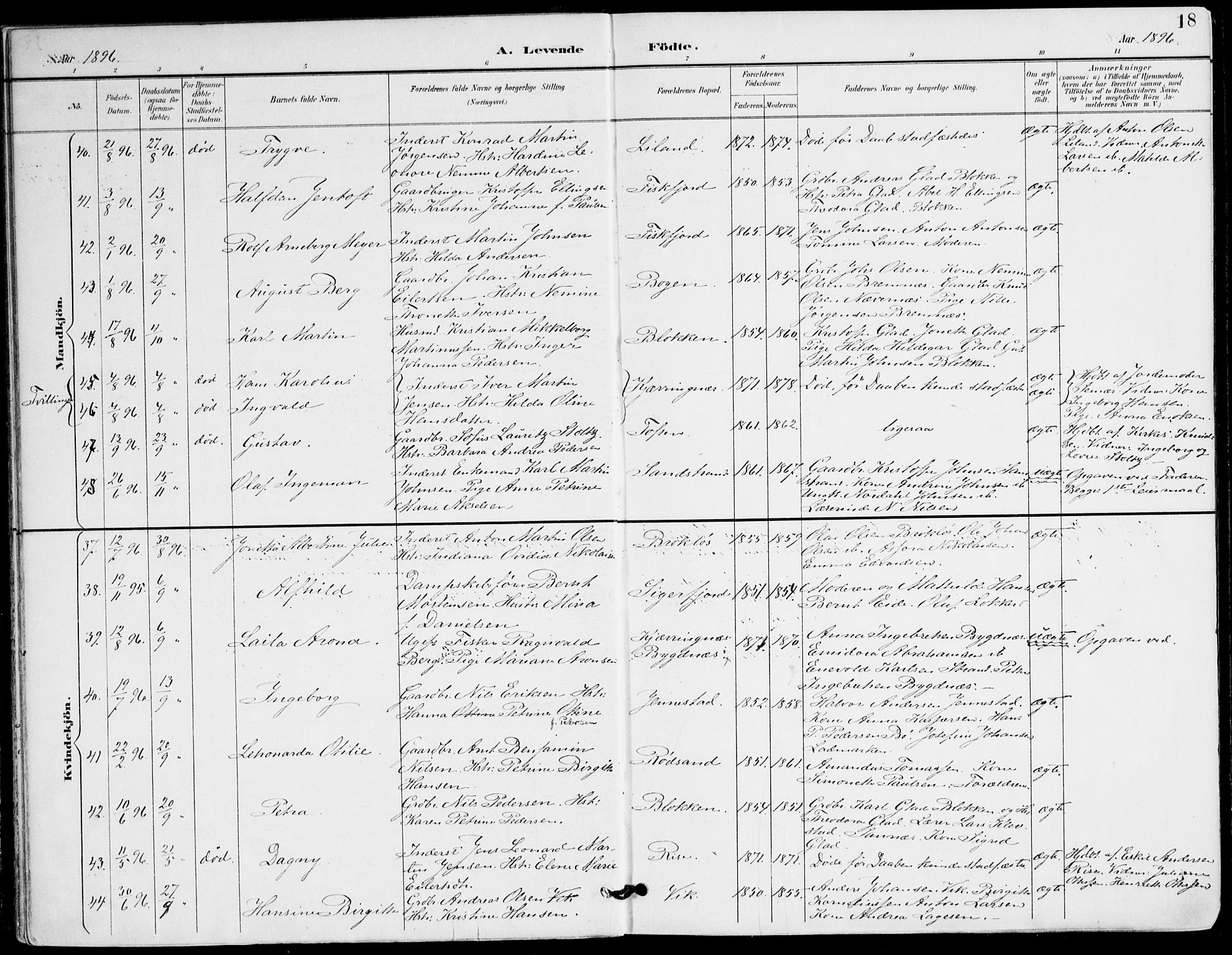 Ministerialprotokoller, klokkerbøker og fødselsregistre - Nordland, AV/SAT-A-1459/895/L1372: Ministerialbok nr. 895A07, 1894-1914, s. 18