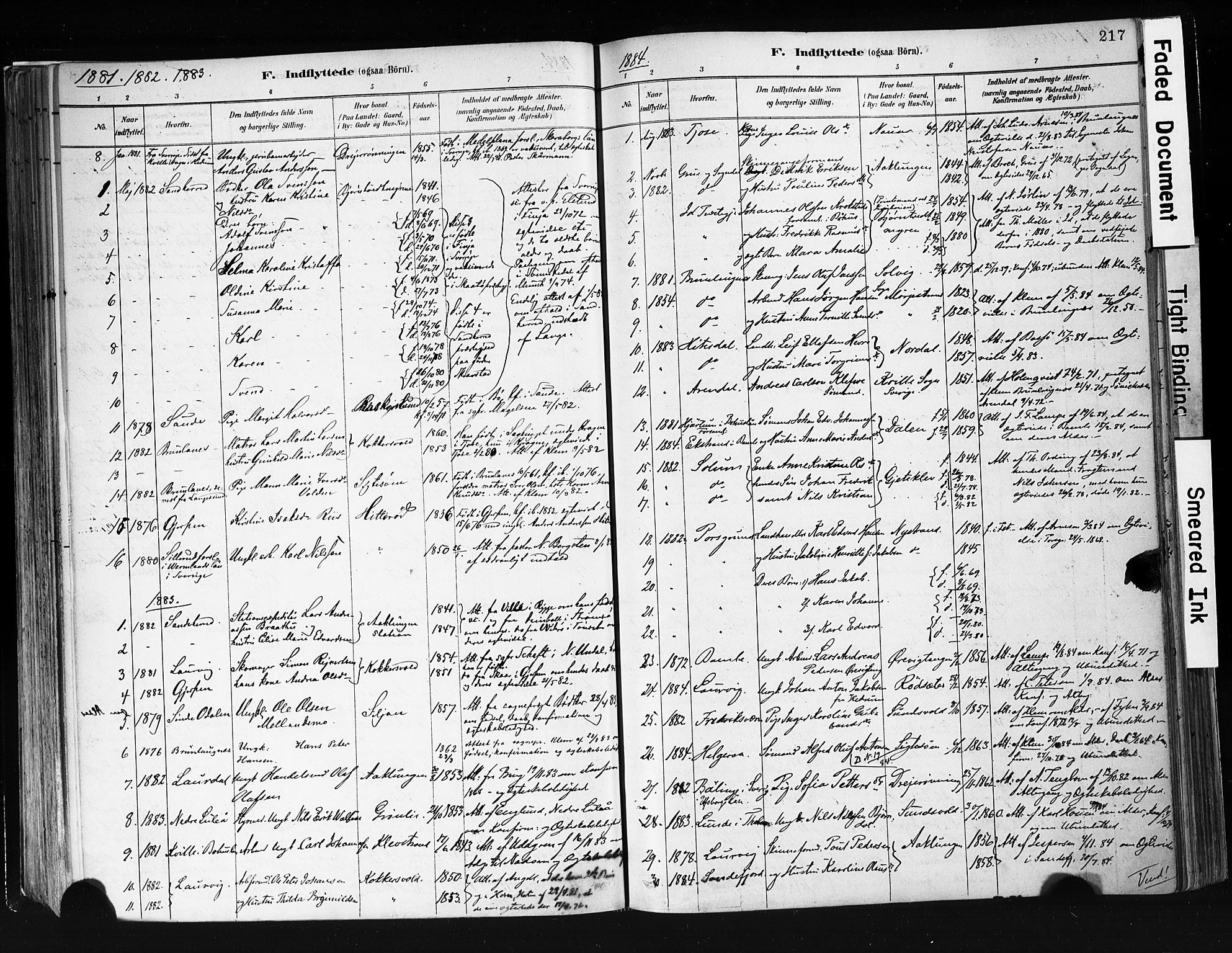 Eidanger kirkebøker, AV/SAKO-A-261/F/Fa/L0012: Ministerialbok nr. 12, 1879-1900, s. 217