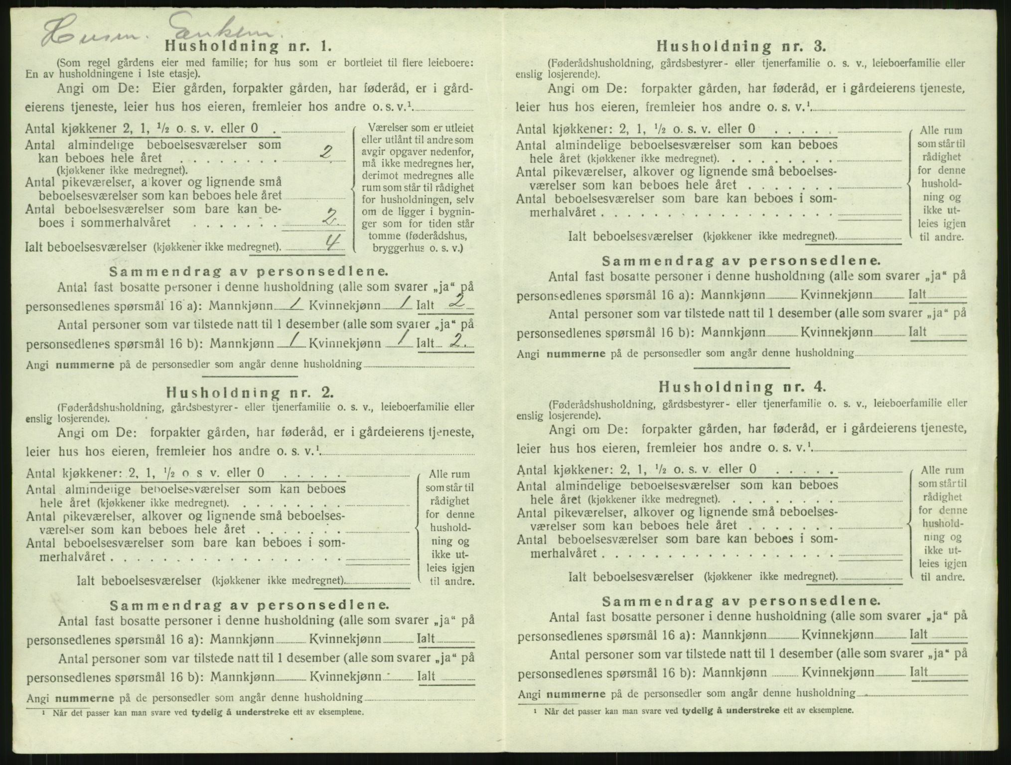 SAT, Folketelling 1920 for 1567 Rindal herred, 1920, s. 733