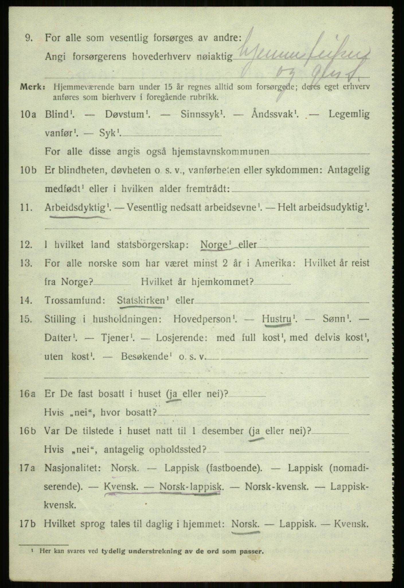 SATØ, Folketelling 1920 for 1934 Tromsøysund herred, 1920, s. 2029