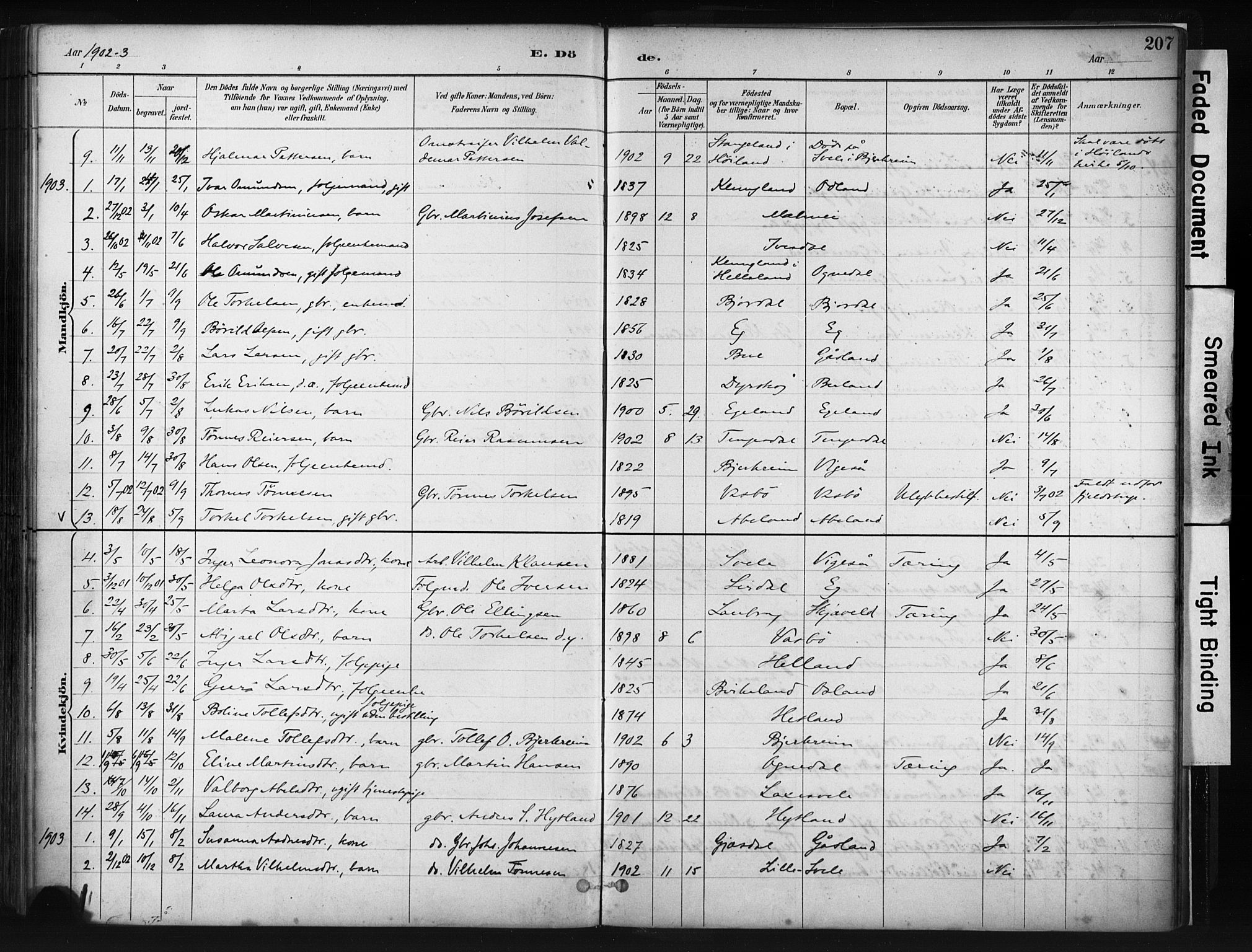 Helleland sokneprestkontor, SAST/A-101810: Ministerialbok nr. A 9, 1887-1908, s. 207