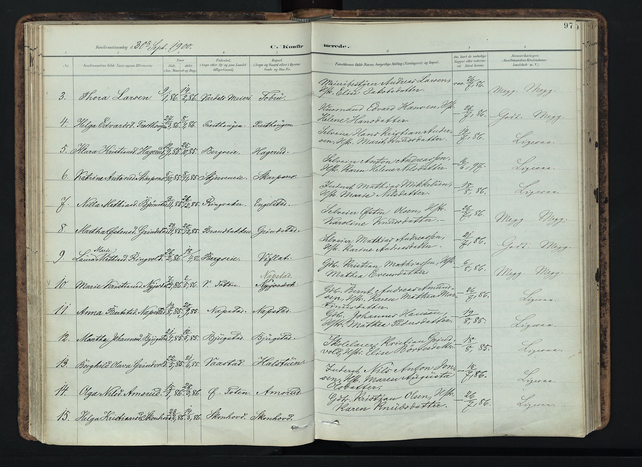 Vardal prestekontor, AV/SAH-PREST-100/H/Ha/Haa/L0019: Ministerialbok nr. 19, 1893-1907, s. 97