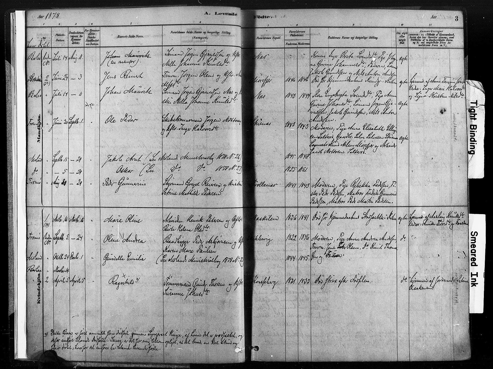 Austre Moland sokneprestkontor, AV/SAK-1111-0001/F/Fa/Fab/L0001: Ministerialbok nr. A 1, 1878-1898, s. 3