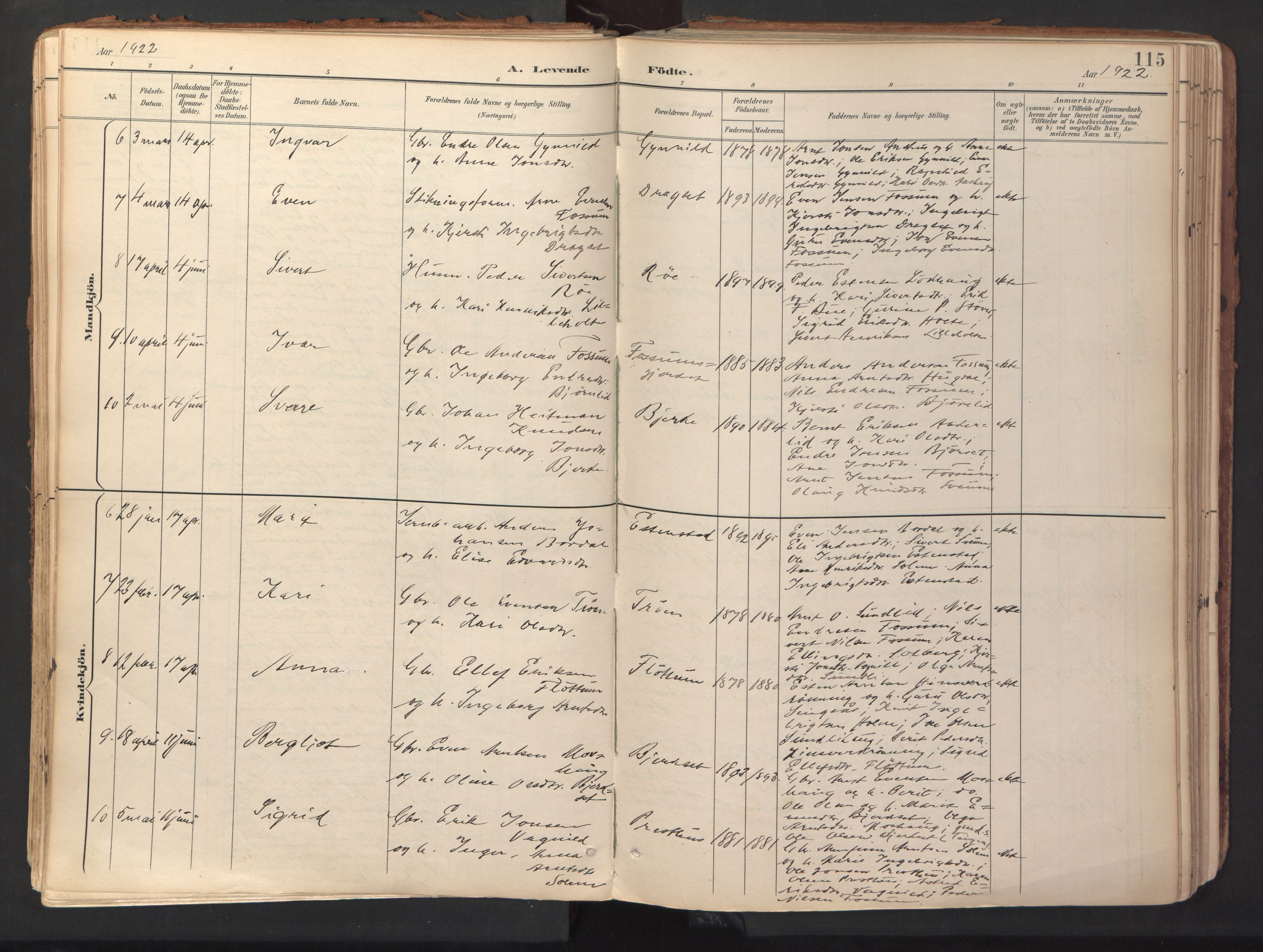 Ministerialprotokoller, klokkerbøker og fødselsregistre - Sør-Trøndelag, AV/SAT-A-1456/689/L1041: Ministerialbok nr. 689A06, 1891-1923, s. 115