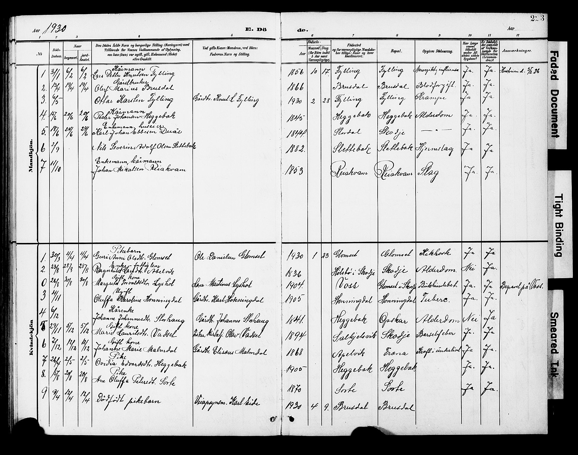 Ministerialprotokoller, klokkerbøker og fødselsregistre - Møre og Romsdal, SAT/A-1454/524/L0366: Klokkerbok nr. 524C07, 1900-1931, s. 223