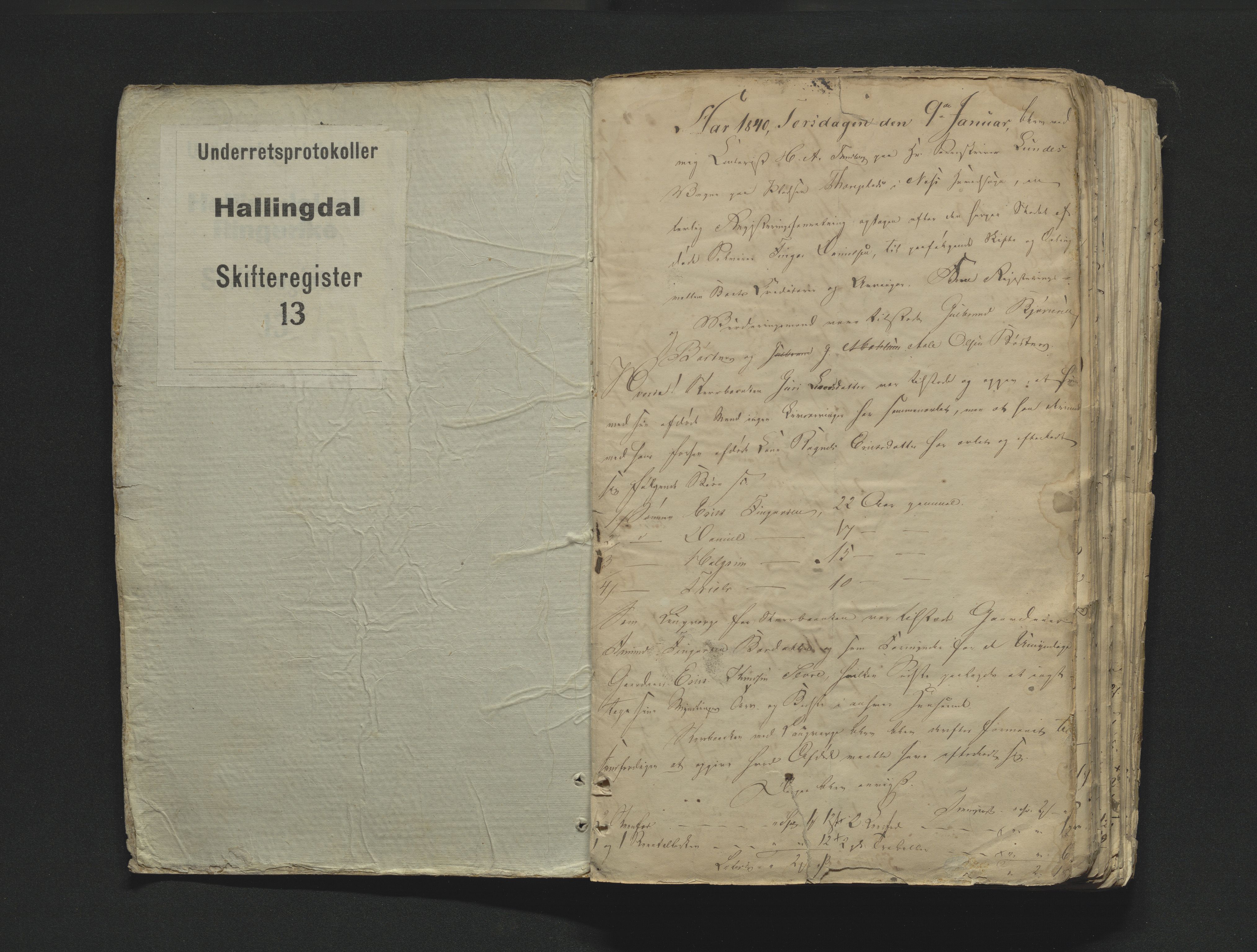 Hallingdal sorenskriveri, SAKO/A-121/H/Hb/Hbb/Hbba/L0013: Skifteregistreringsprotokoll, Sorenskriveriet, 1840