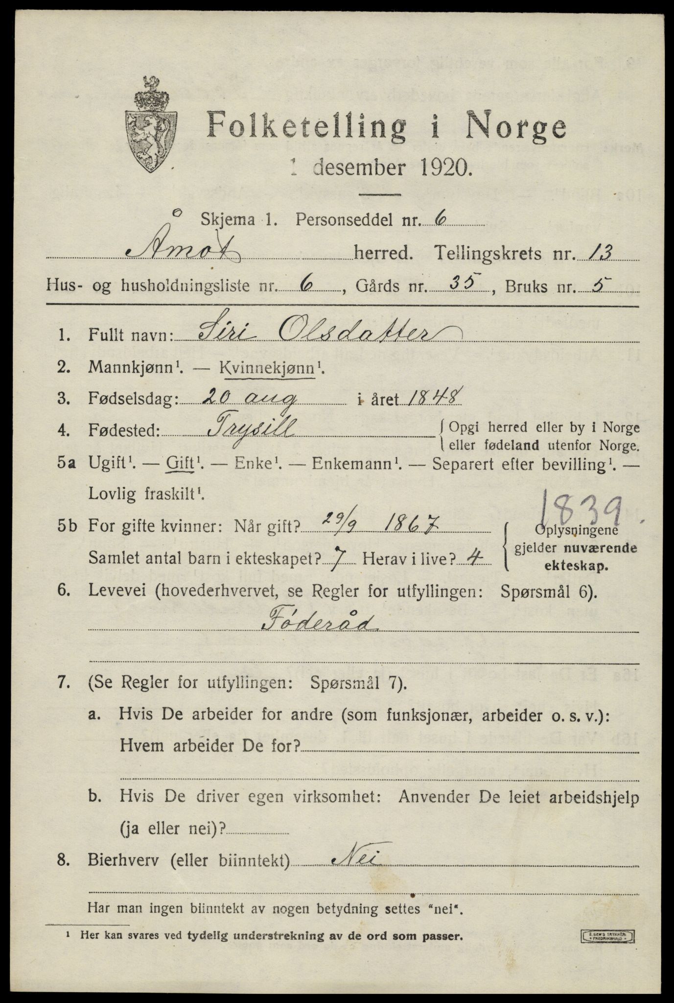 SAH, Folketelling 1920 for 0429 Åmot herred, 1920, s. 10783