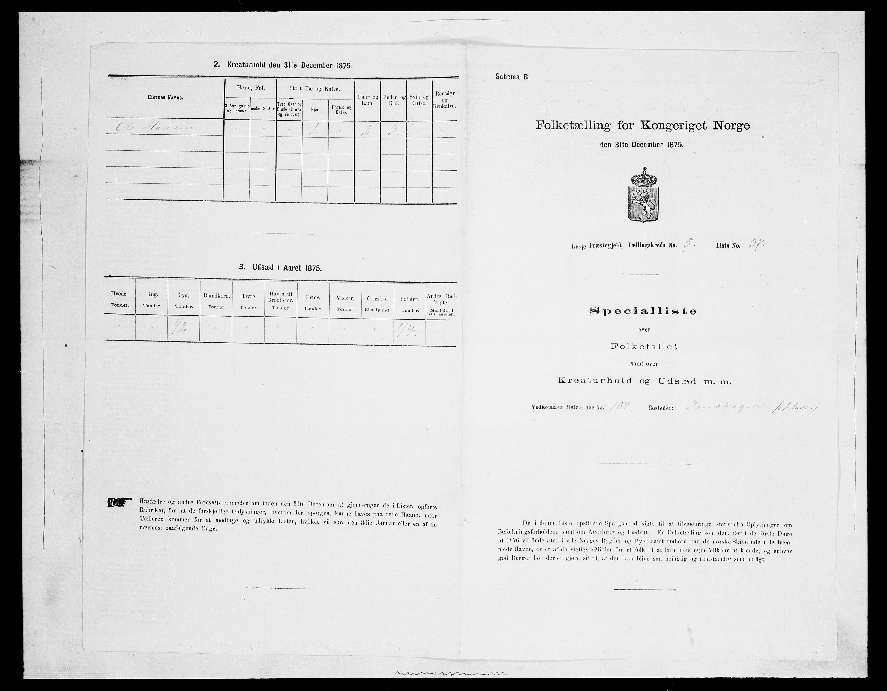 SAH, Folketelling 1875 for 0512P Lesja prestegjeld, 1875, s. 801