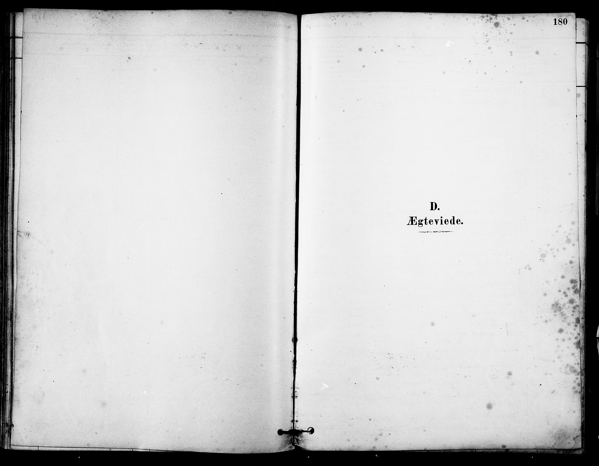 Ministerialprotokoller, klokkerbøker og fødselsregistre - Nordland, AV/SAT-A-1459/805/L0099: Ministerialbok nr. 805A06, 1880-1891, s. 180