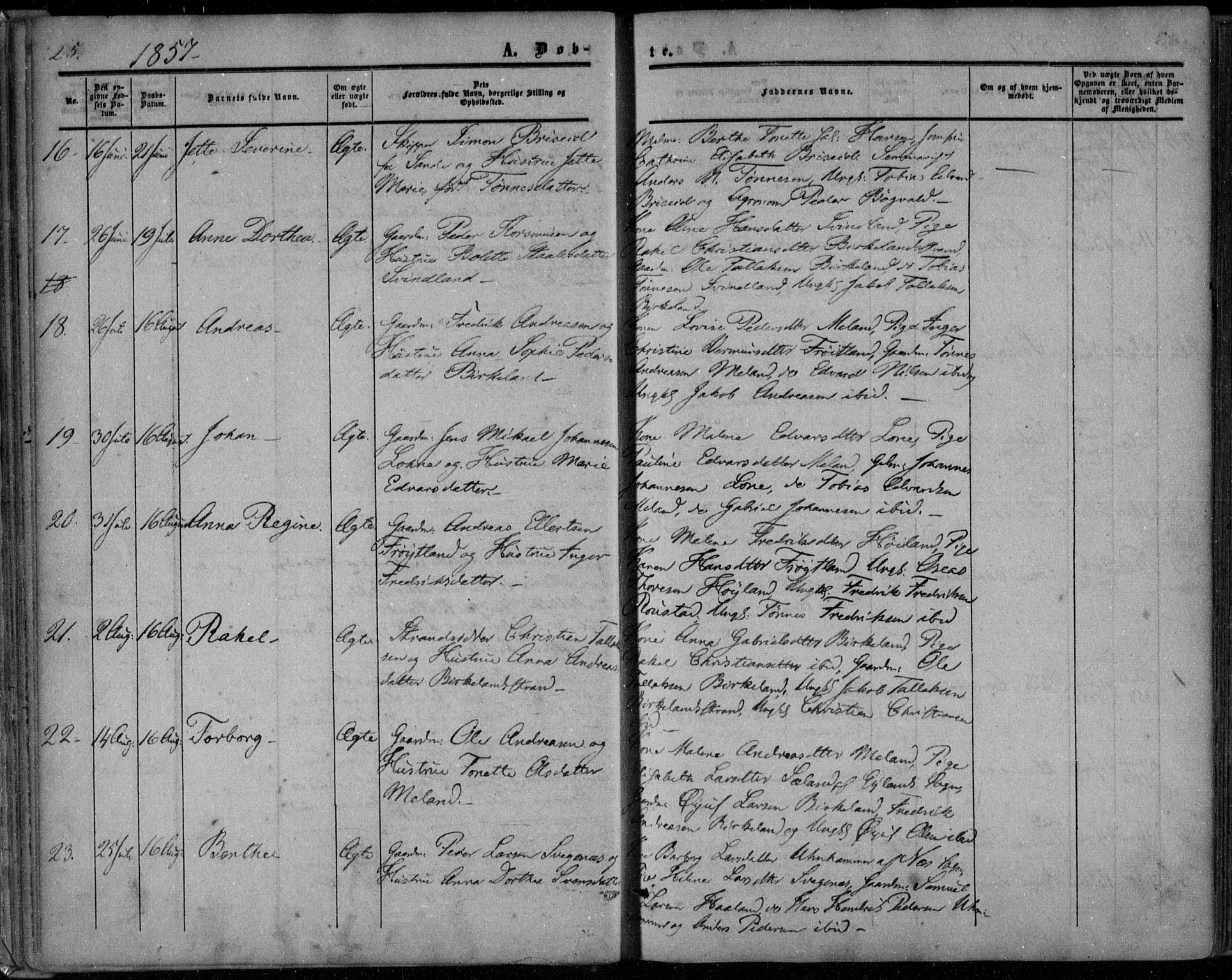 Kvinesdal sokneprestkontor, SAK/1111-0026/F/Fa/Faa/L0002: Ministerialbok nr. A 2, 1850-1876, s. 25