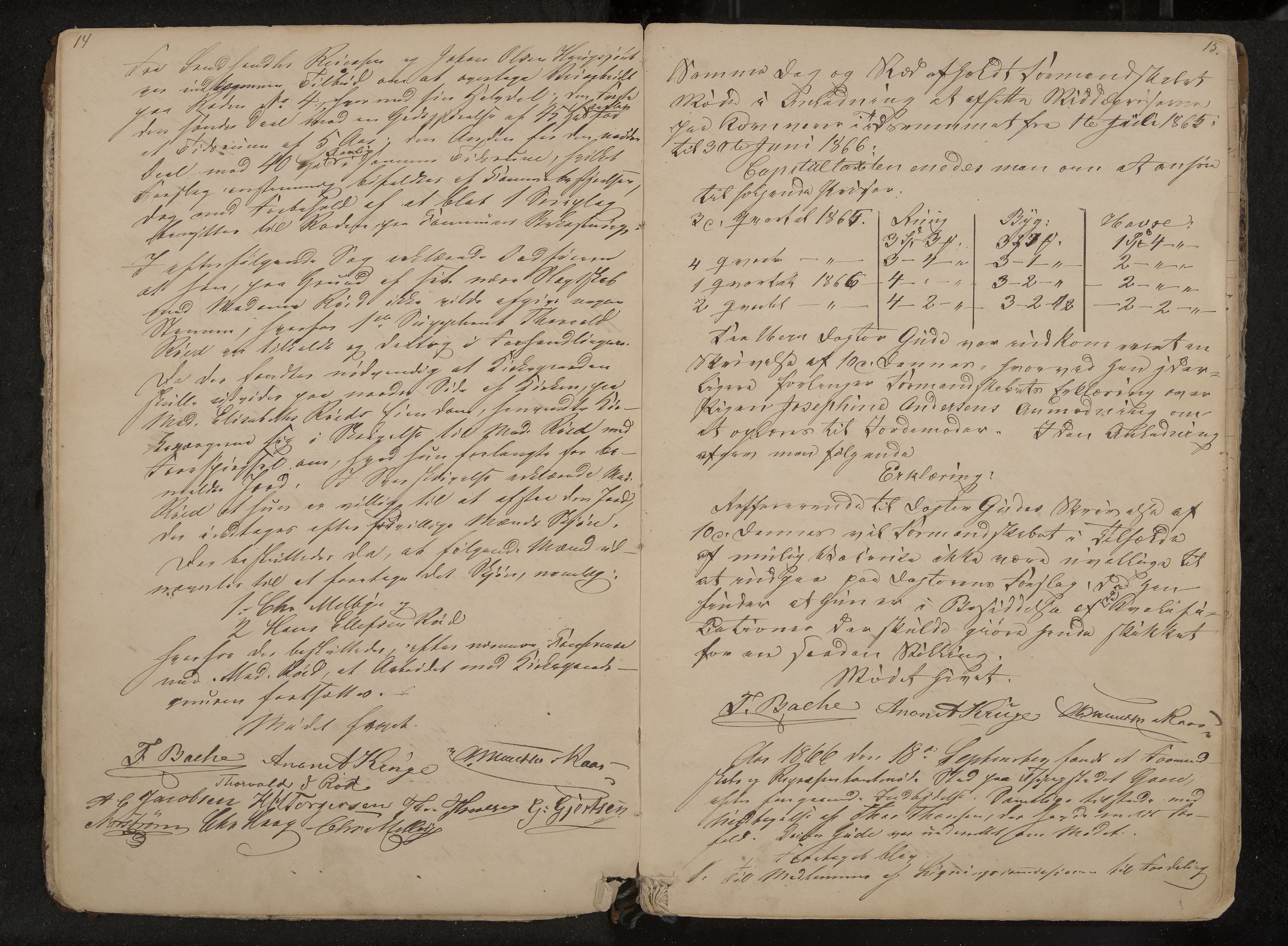 Tjøme formannskap og sentraladministrasjon, IKAK/0723021-1/A/L0002: Møtebok, 1865-1886, s. 14-15