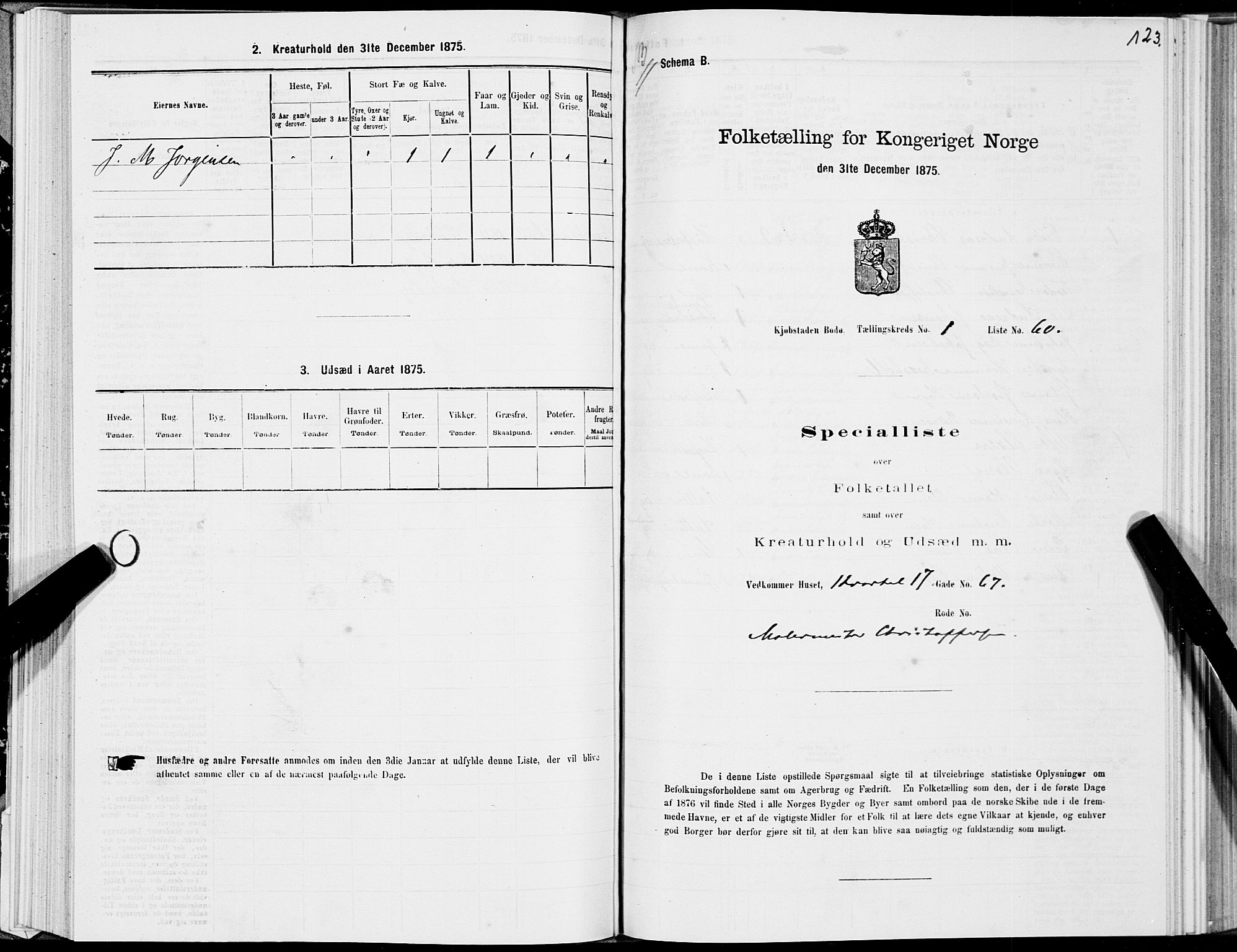 SAT, Folketelling 1875 for 1804B Bodø prestegjeld, Bodø kjøpstad, 1875, s. 123