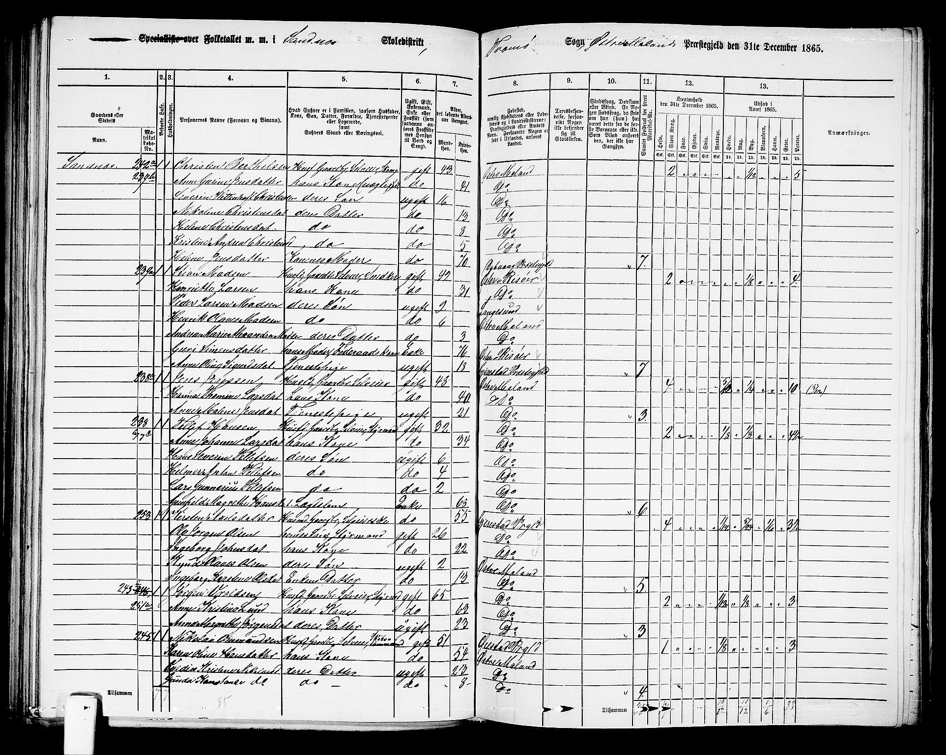 RA, Folketelling 1865 for 0918P Austre Moland prestegjeld, 1865, s. 213