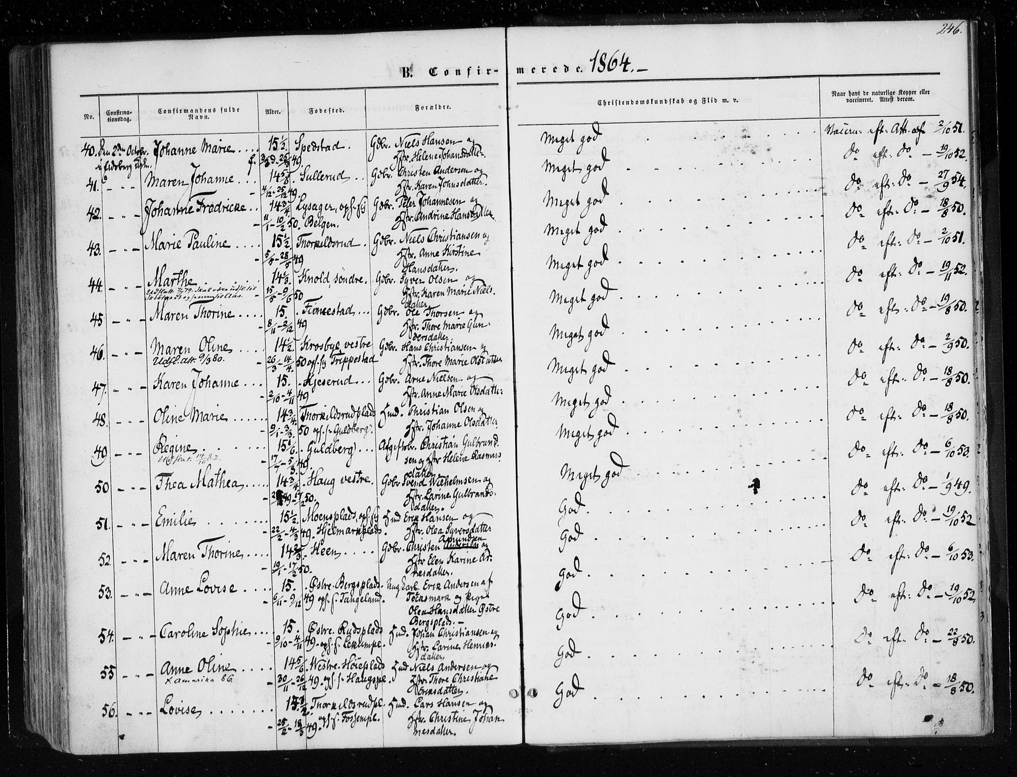 Eidsberg prestekontor Kirkebøker, AV/SAO-A-10905/F/Fa/L0010.a: Ministerialbok nr. I 10A, 1857-1866, s. 246