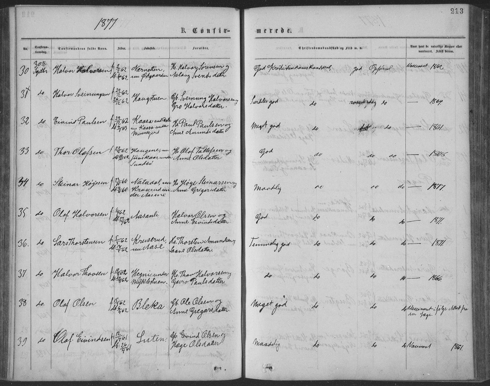 Seljord kirkebøker, AV/SAKO-A-20/F/Fa/L0014: Ministerialbok nr. I 14, 1877-1886, s. 213