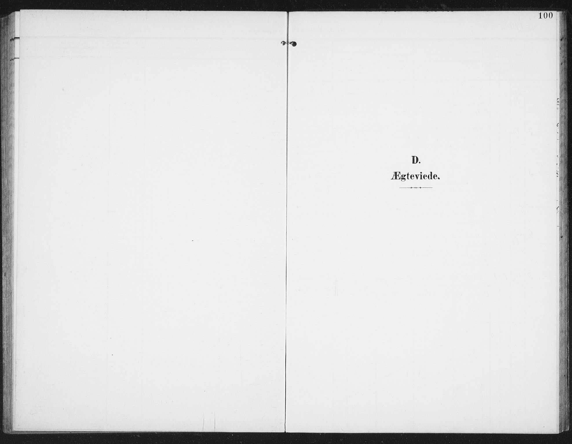Ministerialprotokoller, klokkerbøker og fødselsregistre - Nordland, AV/SAT-A-1459/886/L1221: Ministerialbok nr. 886A03, 1903-1913, s. 100
