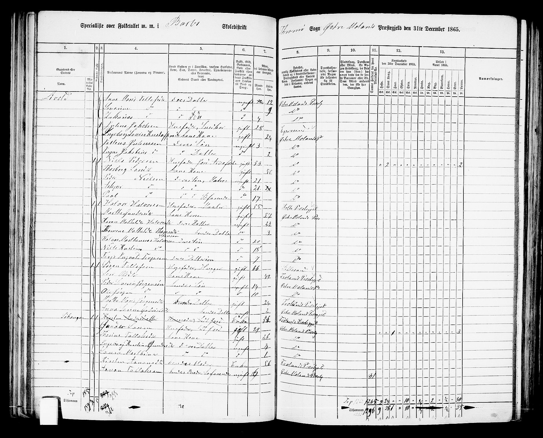 RA, Folketelling 1865 for 0918P Austre Moland prestegjeld, 1865, s. 104