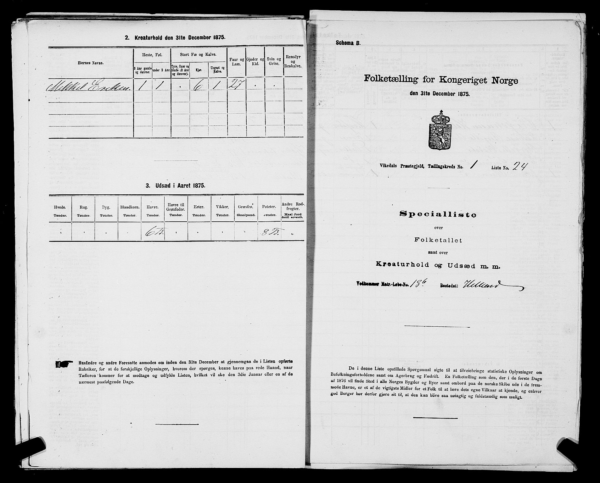 SAST, Folketelling 1875 for 1157P Vikedal prestegjeld, 1875, s. 115