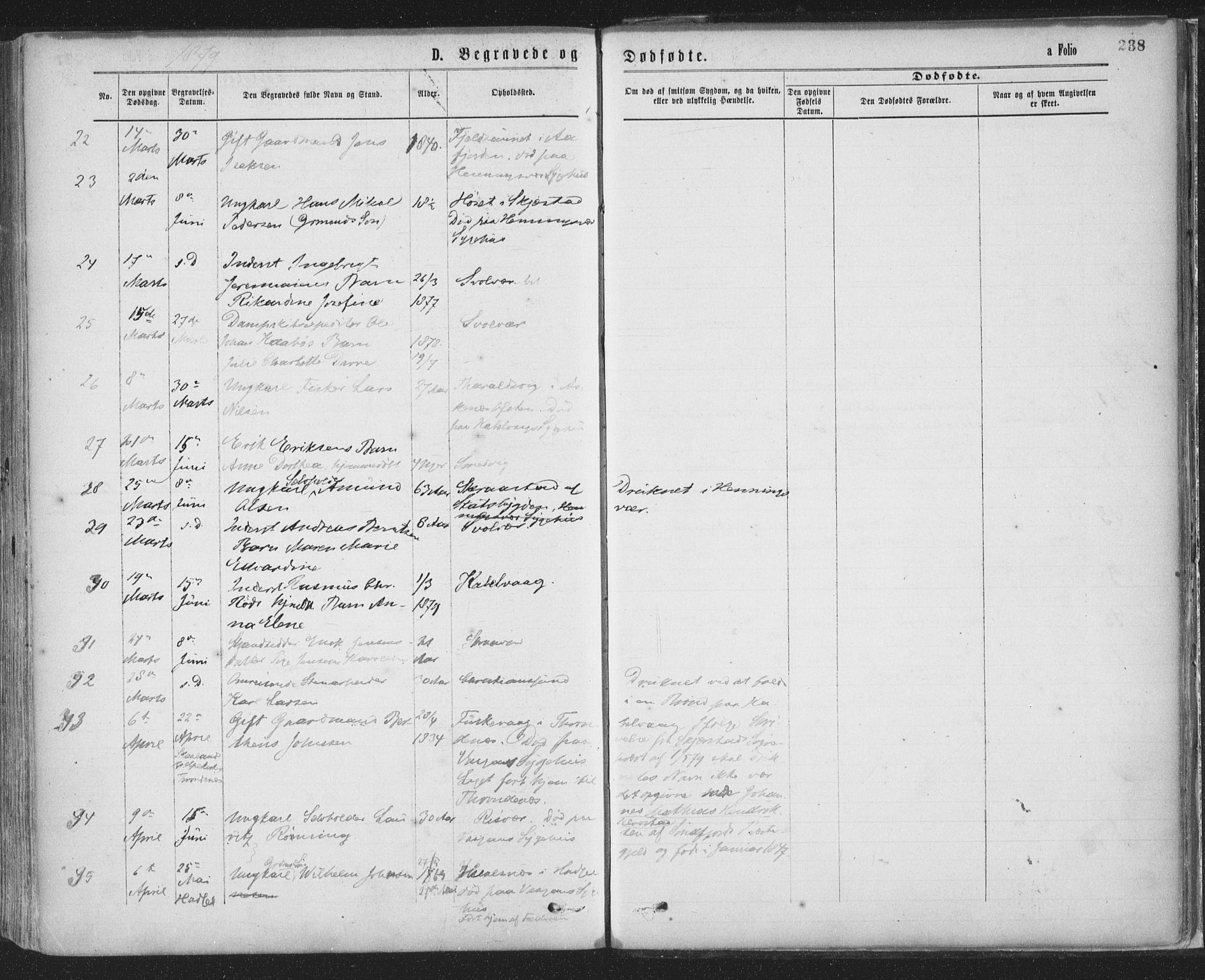 Ministerialprotokoller, klokkerbøker og fødselsregistre - Nordland, SAT/A-1459/874/L1058: Ministerialbok nr. 874A02, 1878-1883, s. 238