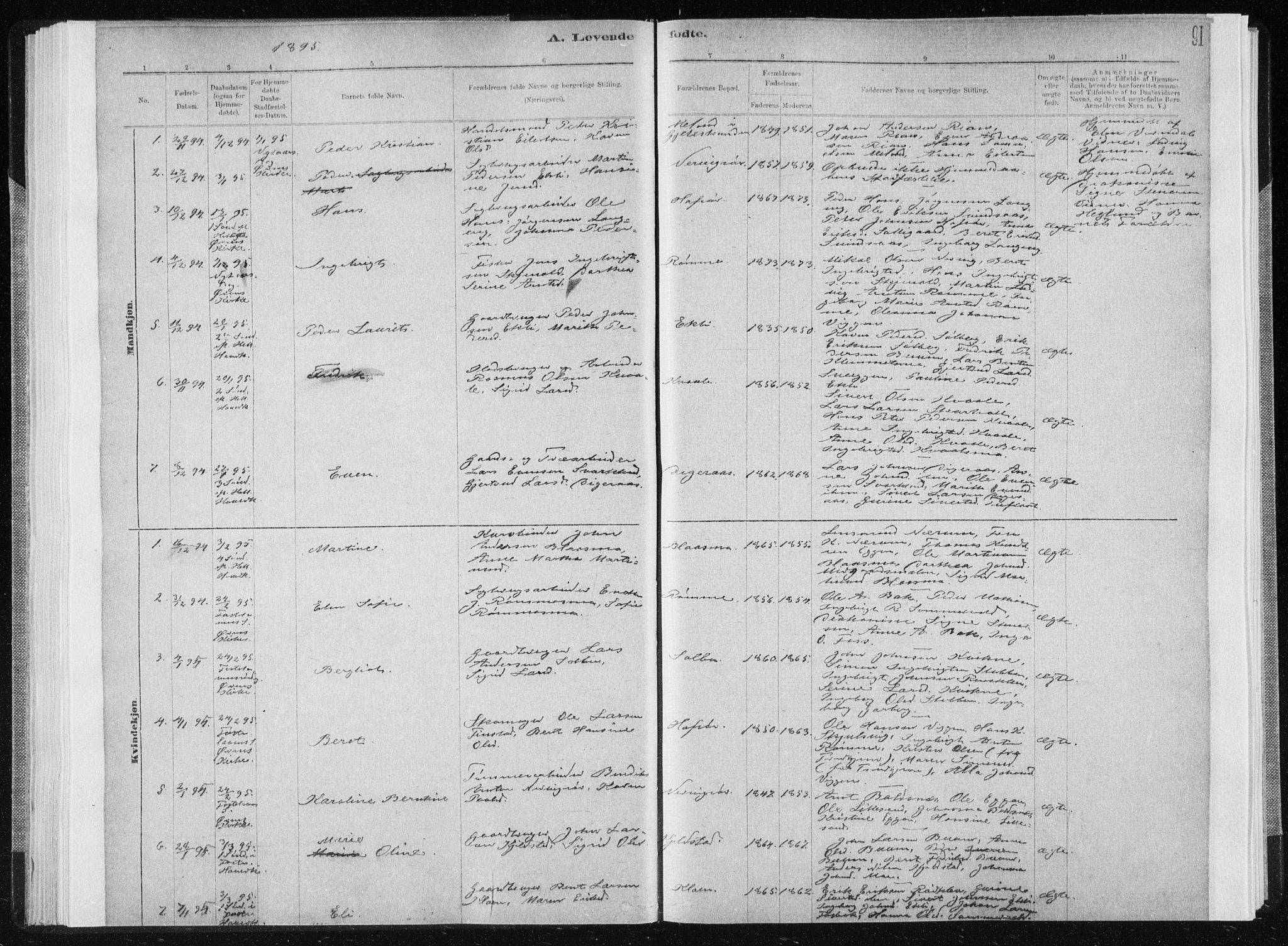 Ministerialprotokoller, klokkerbøker og fødselsregistre - Sør-Trøndelag, SAT/A-1456/668/L0818: Klokkerbok nr. 668C07, 1885-1898, s. 91