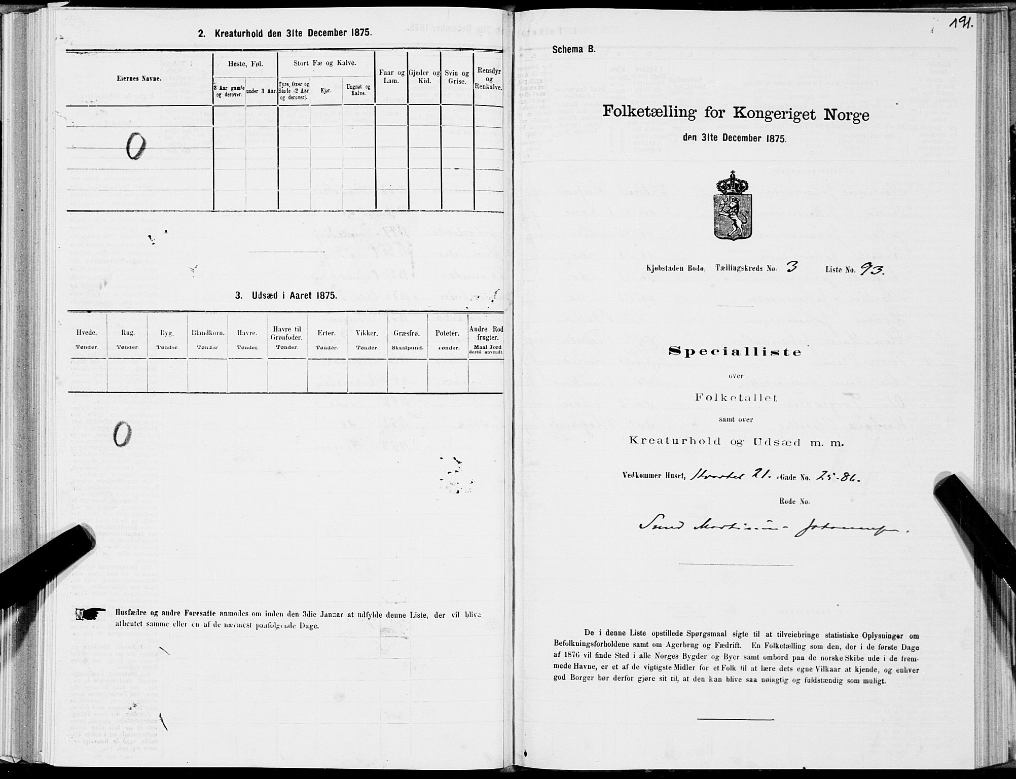 SAT, Folketelling 1875 for 1804B Bodø prestegjeld, Bodø kjøpstad, 1875, s. 191