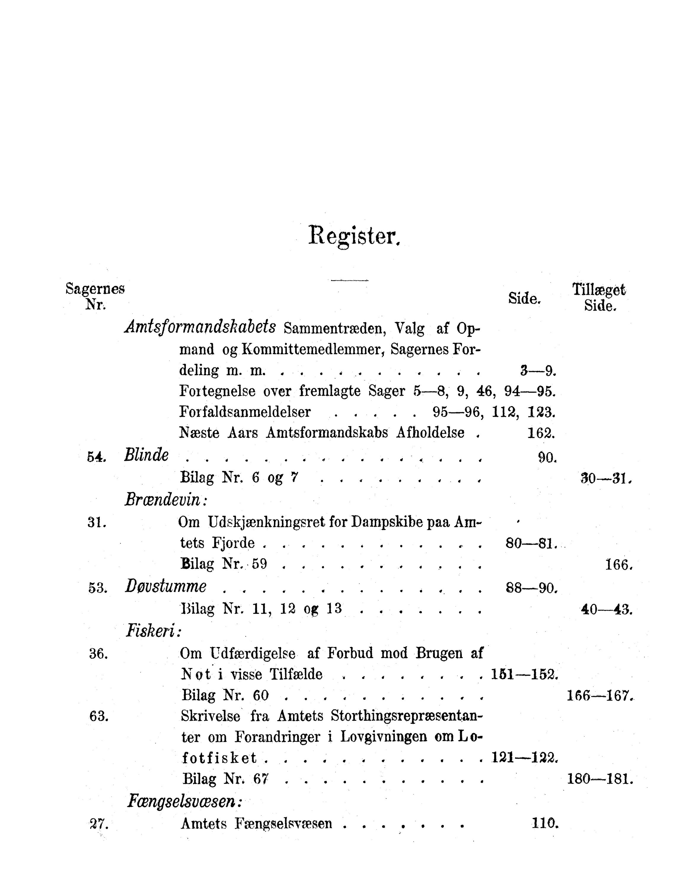 Nordland Fylkeskommune. Fylkestinget, AIN/NFK-17/176/A/Ac/L0013: Fylkestingsforhandlinger 1880, 1880