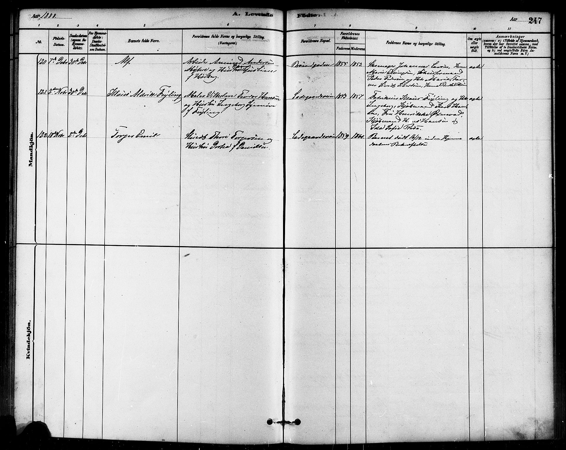 Domkirken sokneprestkontor, AV/SAST-A-101812/001/30/30BB/L0015: Klokkerbok nr. B 15, 1880-1891, s. 247