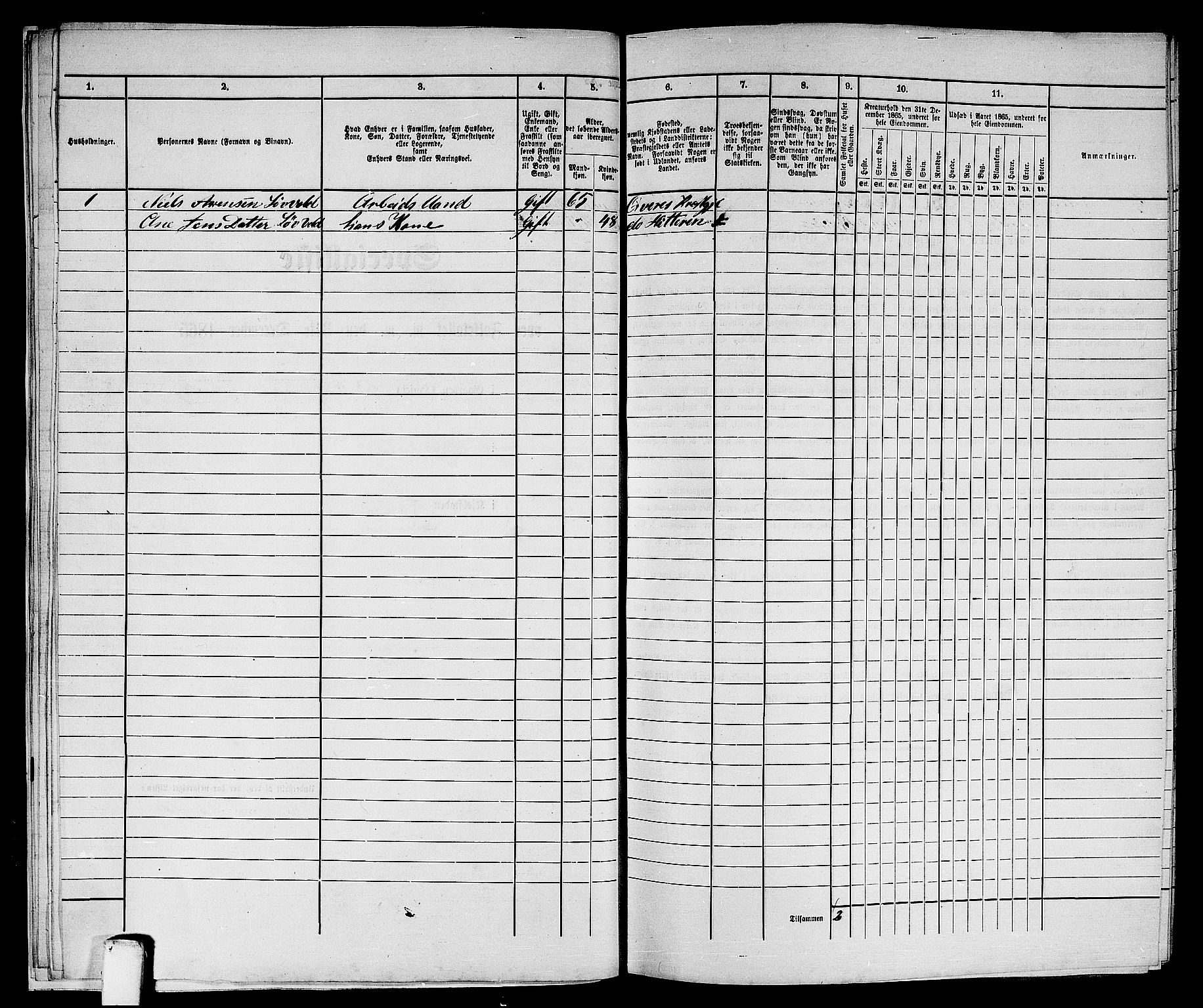 RA, Folketelling 1865 for 1503B Kristiansund prestegjeld, Kristiansund kjøpstad, 1865, s. 528