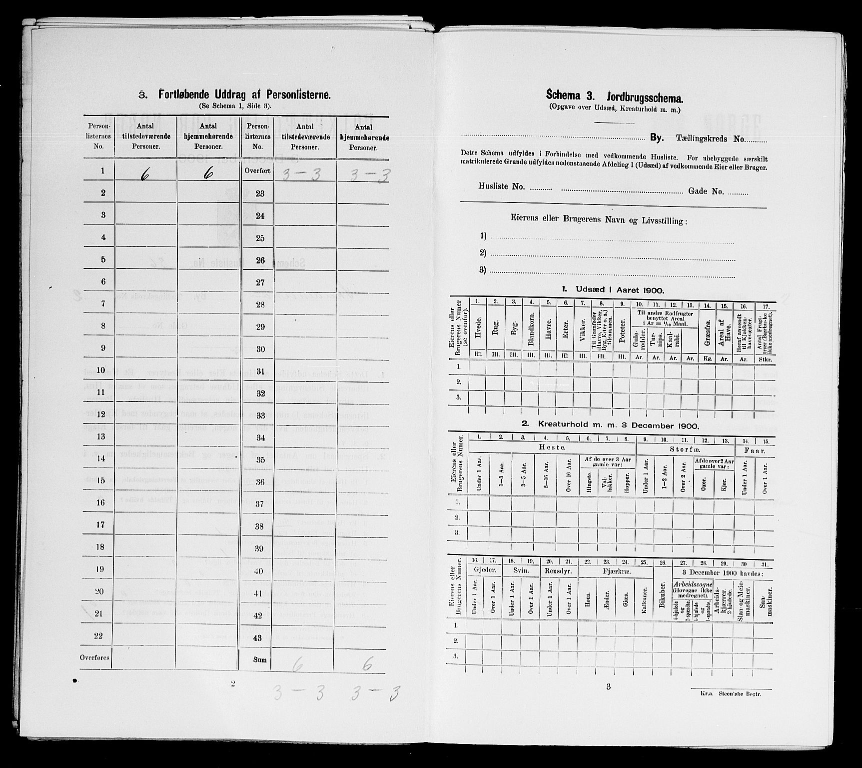 SAST, Folketelling 1900 for 1104 Skudeneshavn ladested, 1900, s. 466