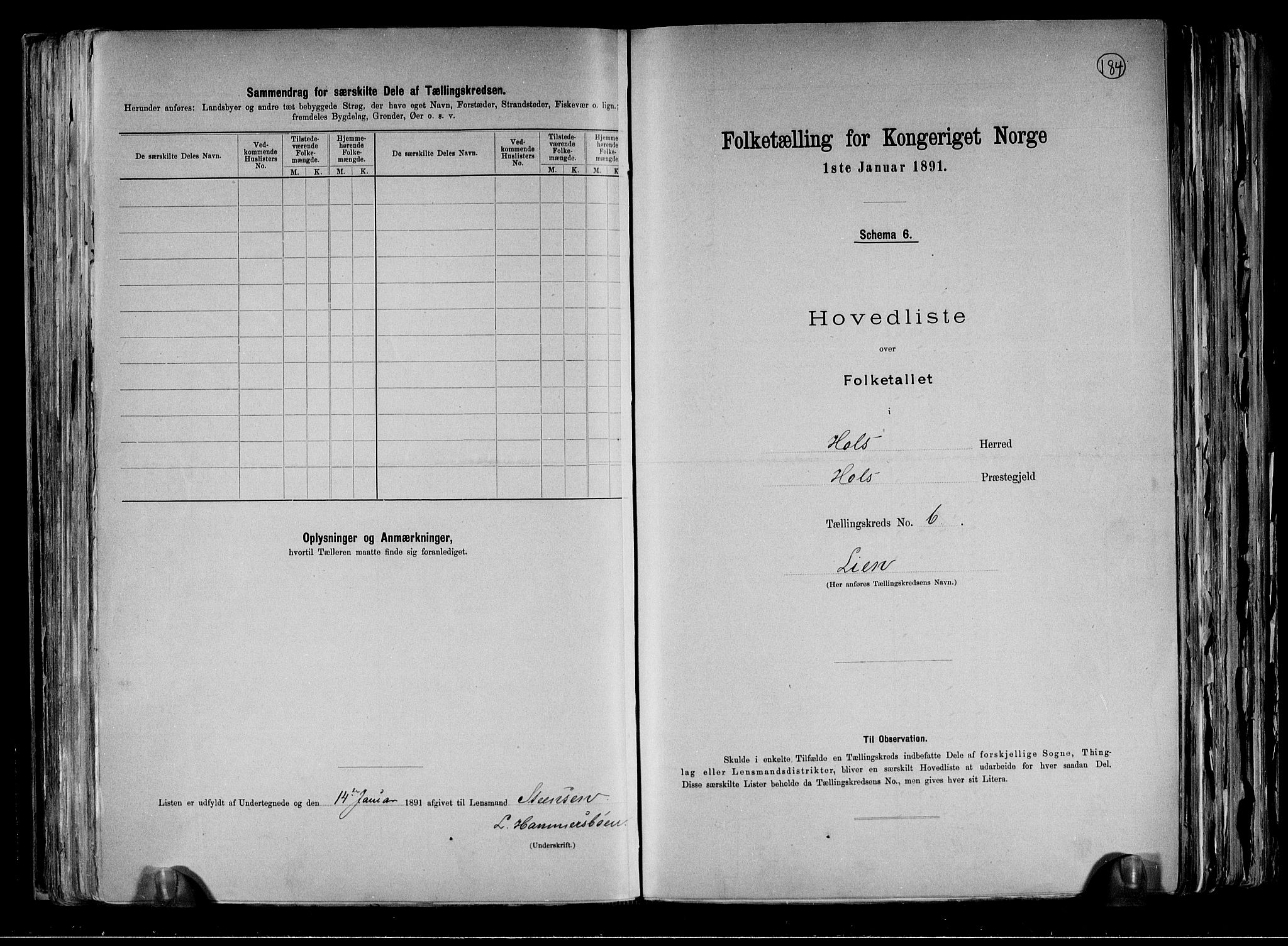 RA, Folketelling 1891 for 0620 Hol herred, 1891, s. 17