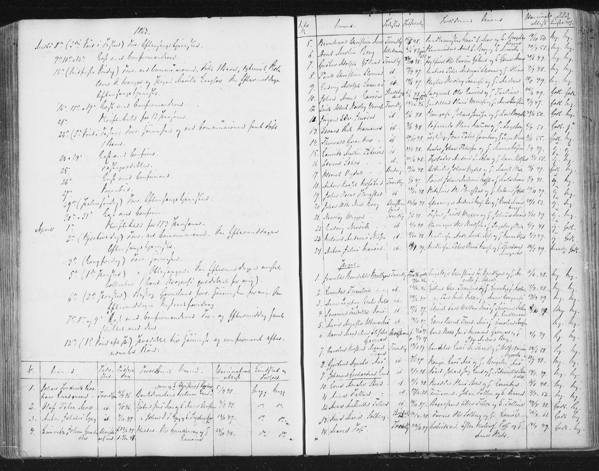 Ministerialprotokoller, klokkerbøker og fødselsregistre - Sør-Trøndelag, SAT/A-1456/602/L0127: Residerende kapellans bok nr. 602B01, 1821-1875, s. 223