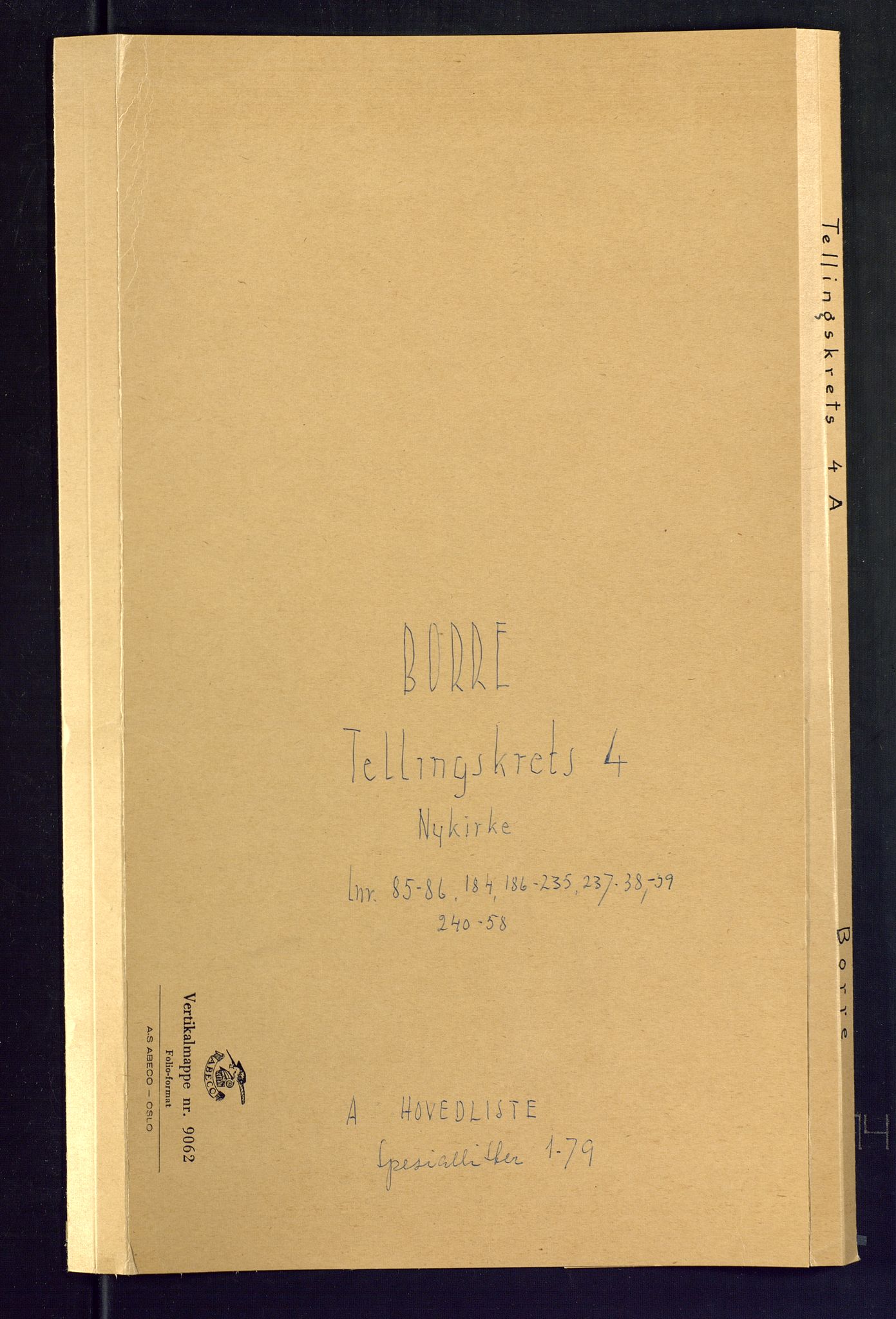 SAKO, Folketelling 1875 for 0717L Borre prestegjeld, Borre sokn og Nykirke sokn, 1875, s. 20