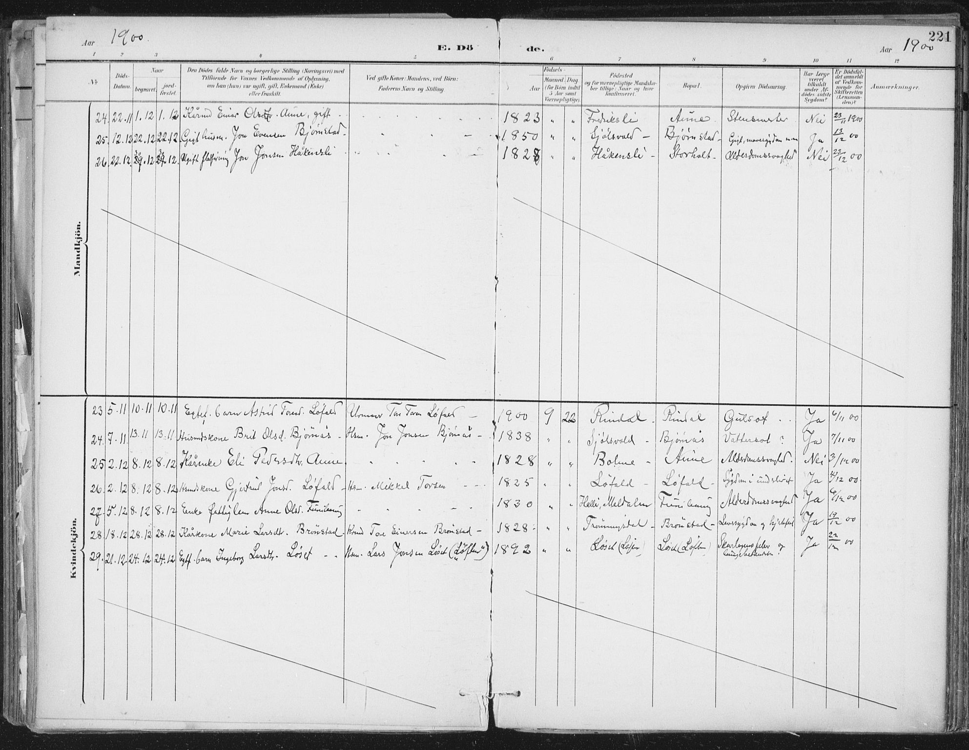 Ministerialprotokoller, klokkerbøker og fødselsregistre - Møre og Romsdal, SAT/A-1454/598/L1072: Ministerialbok nr. 598A06, 1896-1910, s. 221