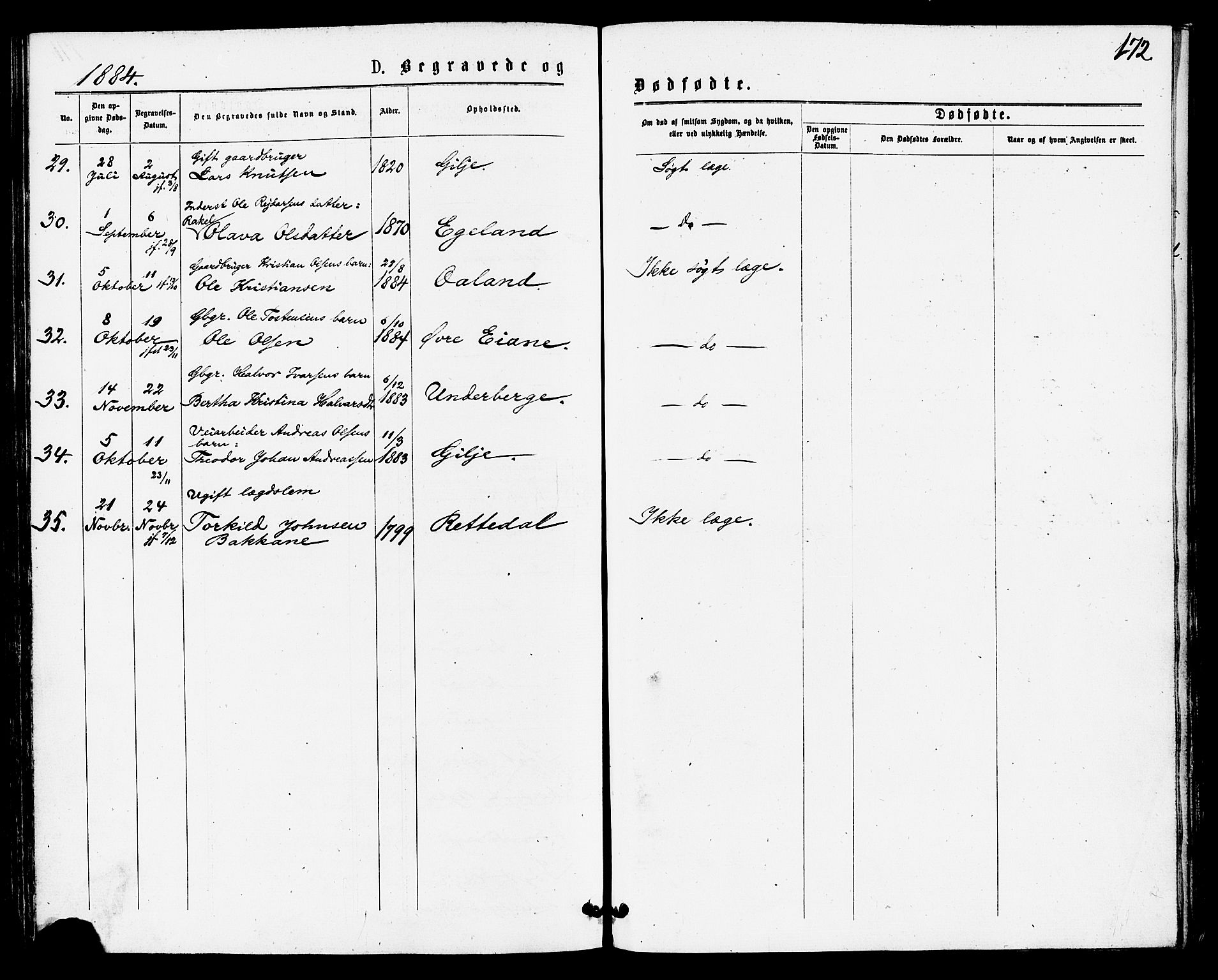 Høgsfjord sokneprestkontor, AV/SAST-A-101624/H/Ha/Haa/L0004: Ministerialbok nr. A 4, 1876-1884, s. 172