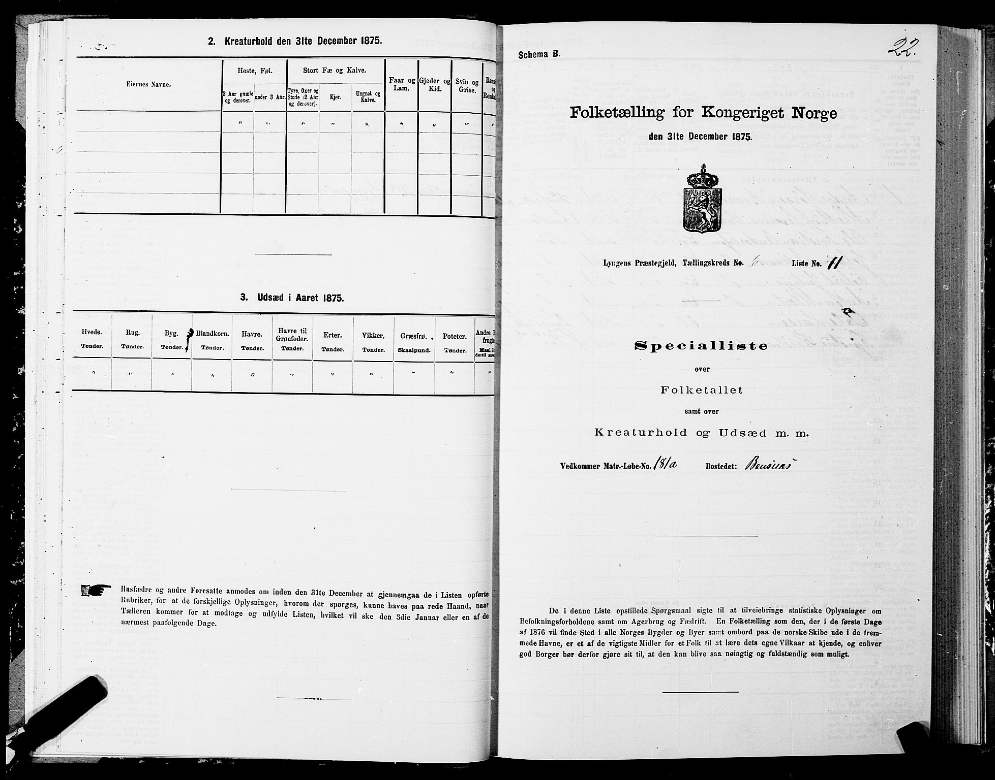 SATØ, Folketelling 1875 for 1938P Lyngen prestegjeld, 1875, s. 6021