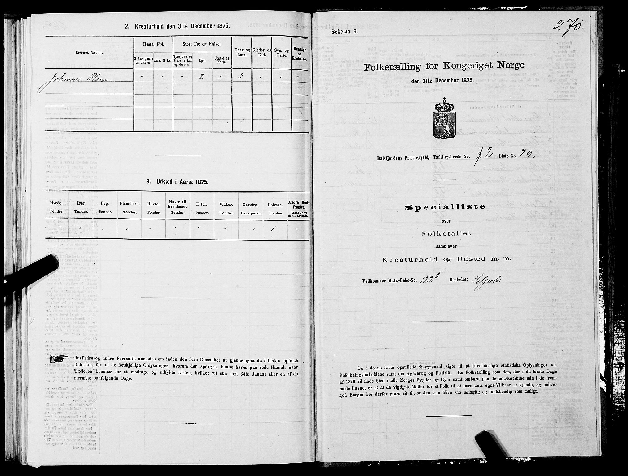 SATØ, Folketelling 1875 for 1933P Balsfjord prestegjeld, 1875, s. 1270