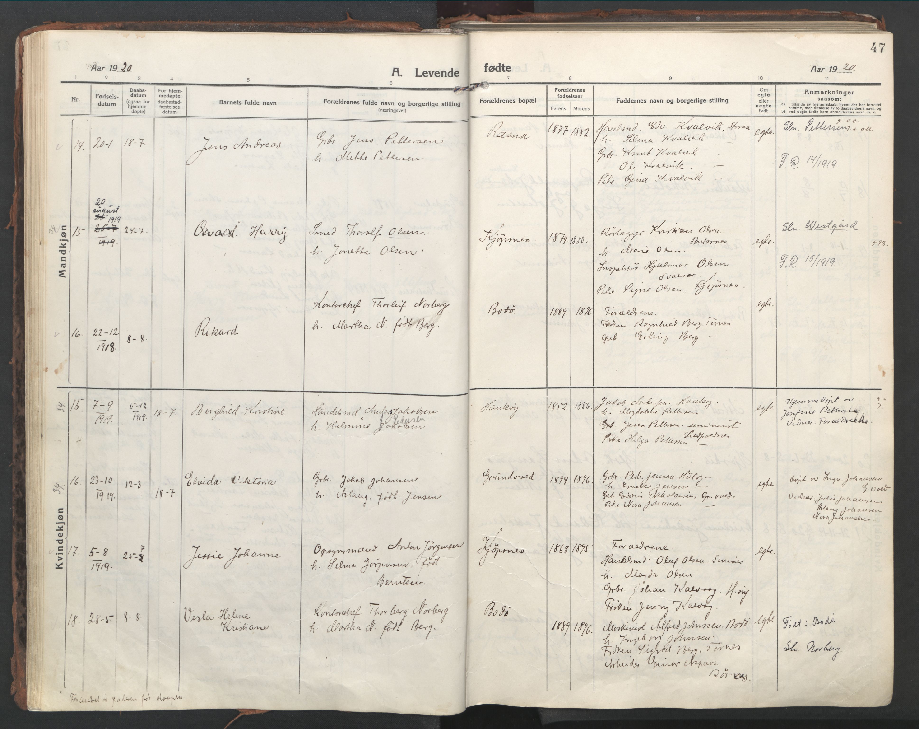 Ministerialprotokoller, klokkerbøker og fødselsregistre - Nordland, AV/SAT-A-1459/861/L0872: Ministerialbok nr. 861A07, 1915-1924, s. 47